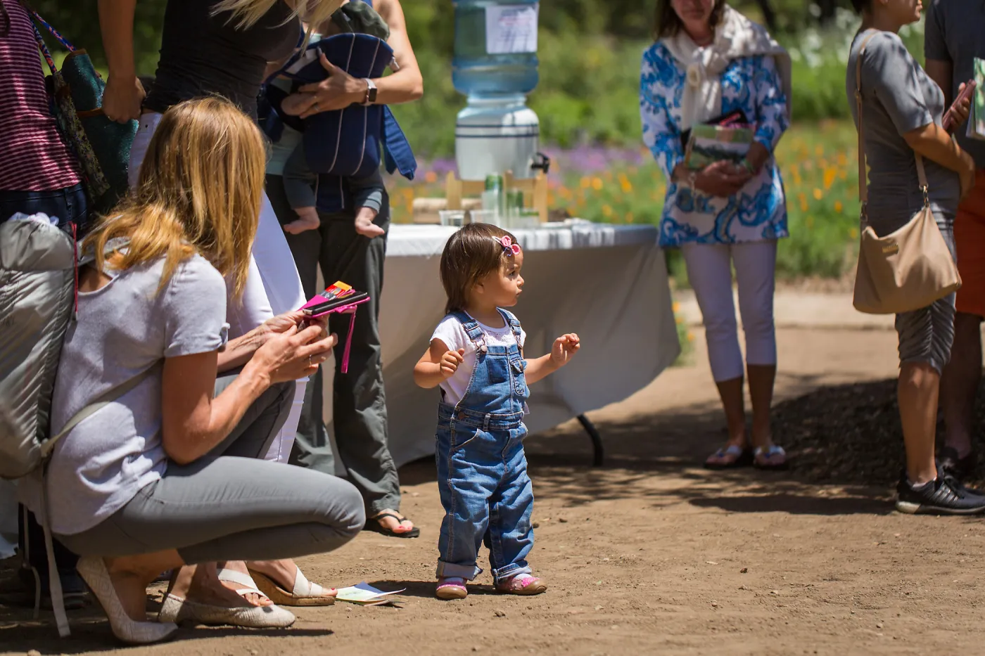 Cultivating the Wild: Native Gardens Tour and 90th Birthday Celebration