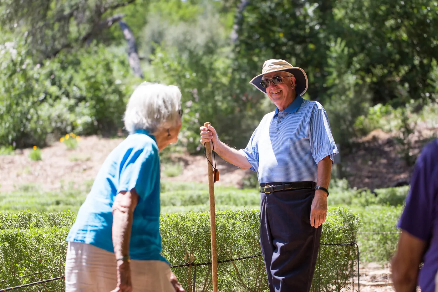 Cultivating the Wild: Native Gardens Tour and 90th Birthday Celebration, Centennial Maze
