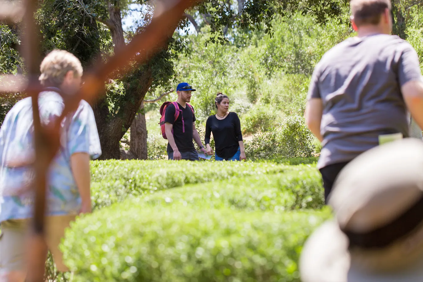 Cultivating the Wild: Native Gardens Tour and 90th Birthday Celebration, Centennial Maze