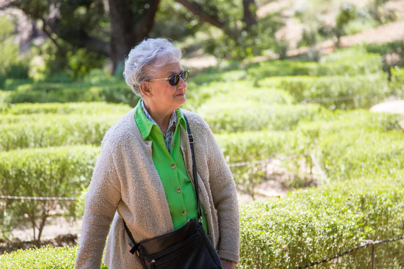 Cultivating the Wild: Native Gardens Tour and 90th Birthday Celebration, Centennial Maze