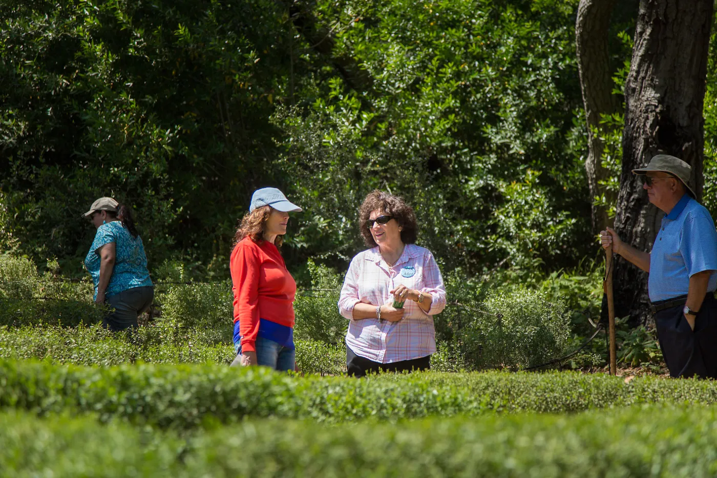 Cultivating the Wild: Native Gardens Tour and 90th Birthday Celebration, Centennial Maze