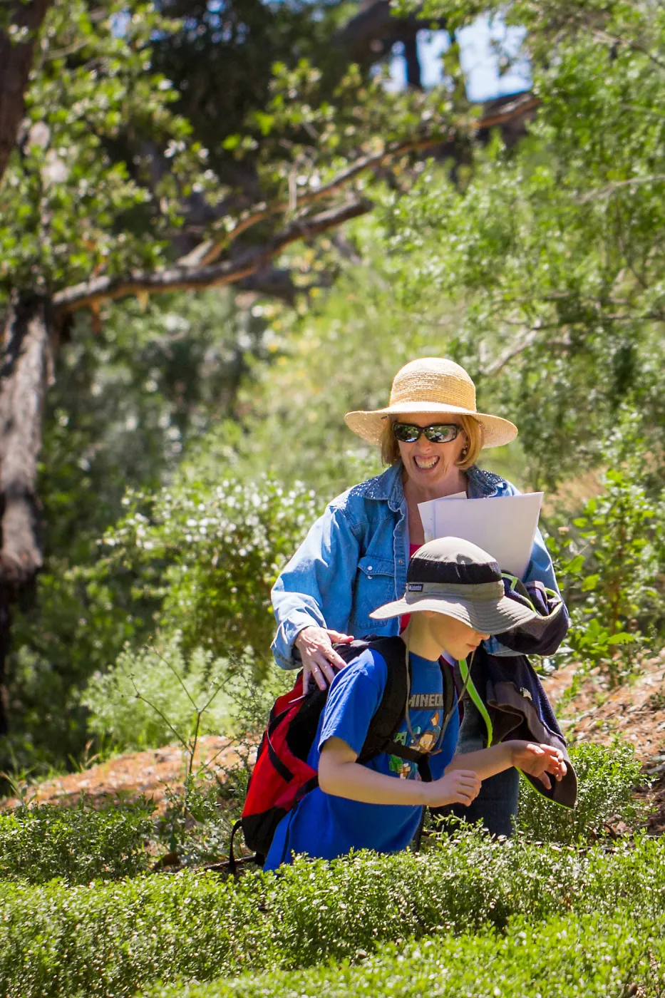 Cultivating the Wild: Native Gardens Tour and 90th Birthday Celebration, Centennial Maze