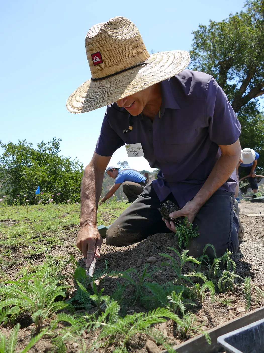 Volunteers and staff planting the new Island View Garden