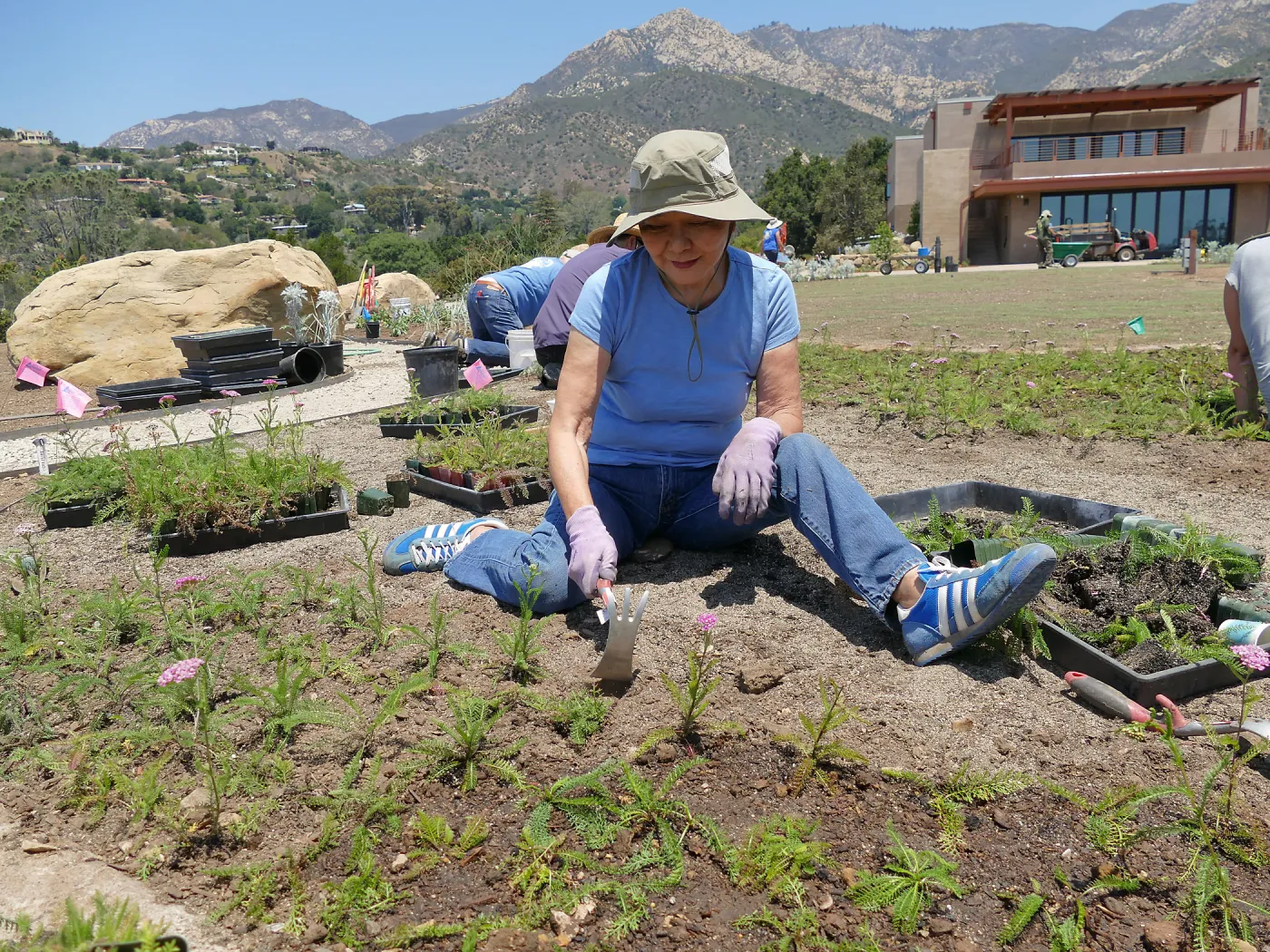 Volunteers and staff planting the new Island View Garden