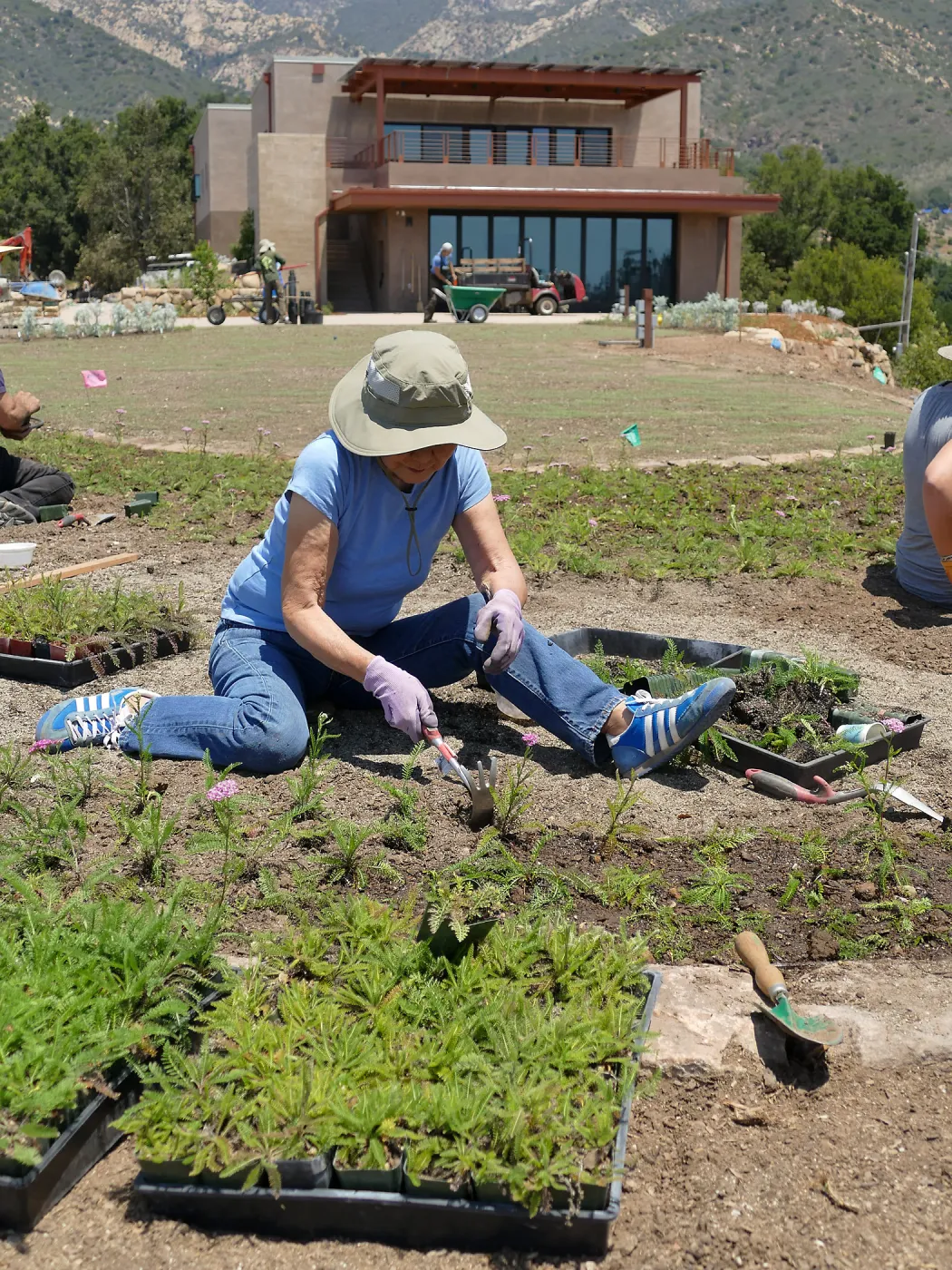 Volunteers and staff planting the new Island View Garden