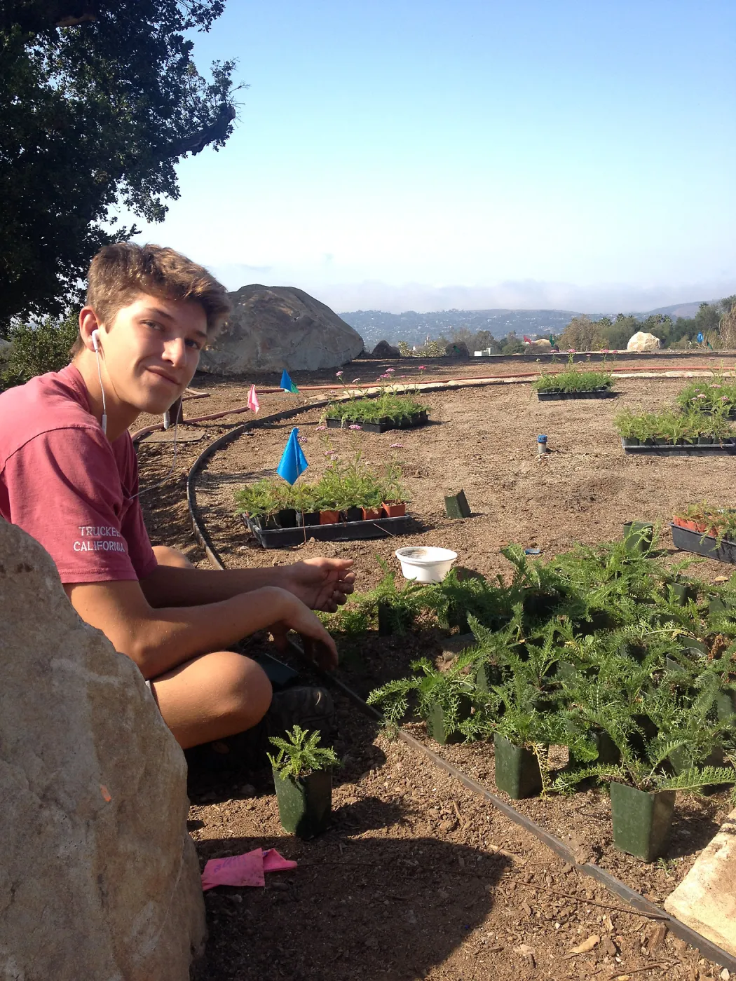 Volunteers planting the new Island View Garden