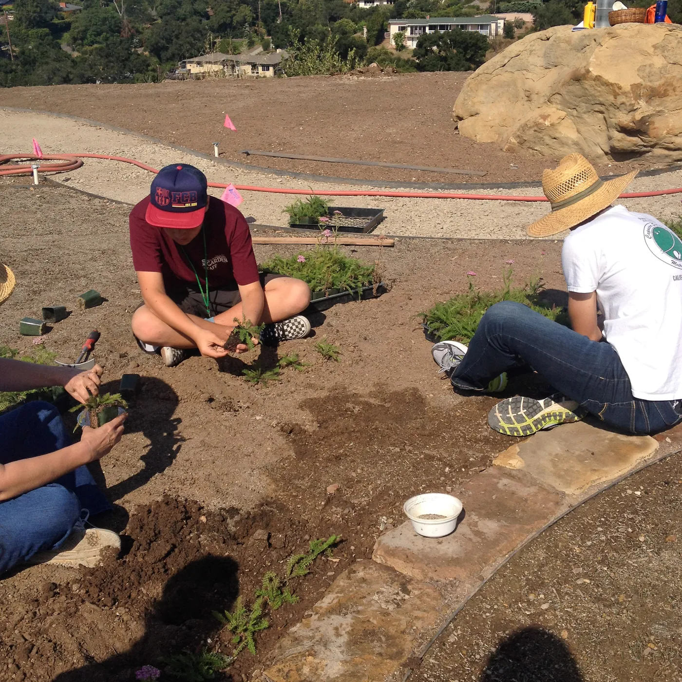 Volunteers planting the new Island View Garden