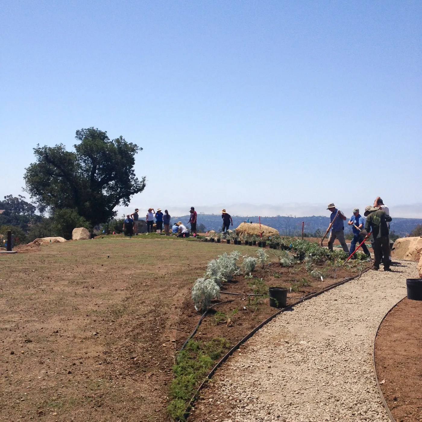 Volunteers and staff planting the new Island View Garden