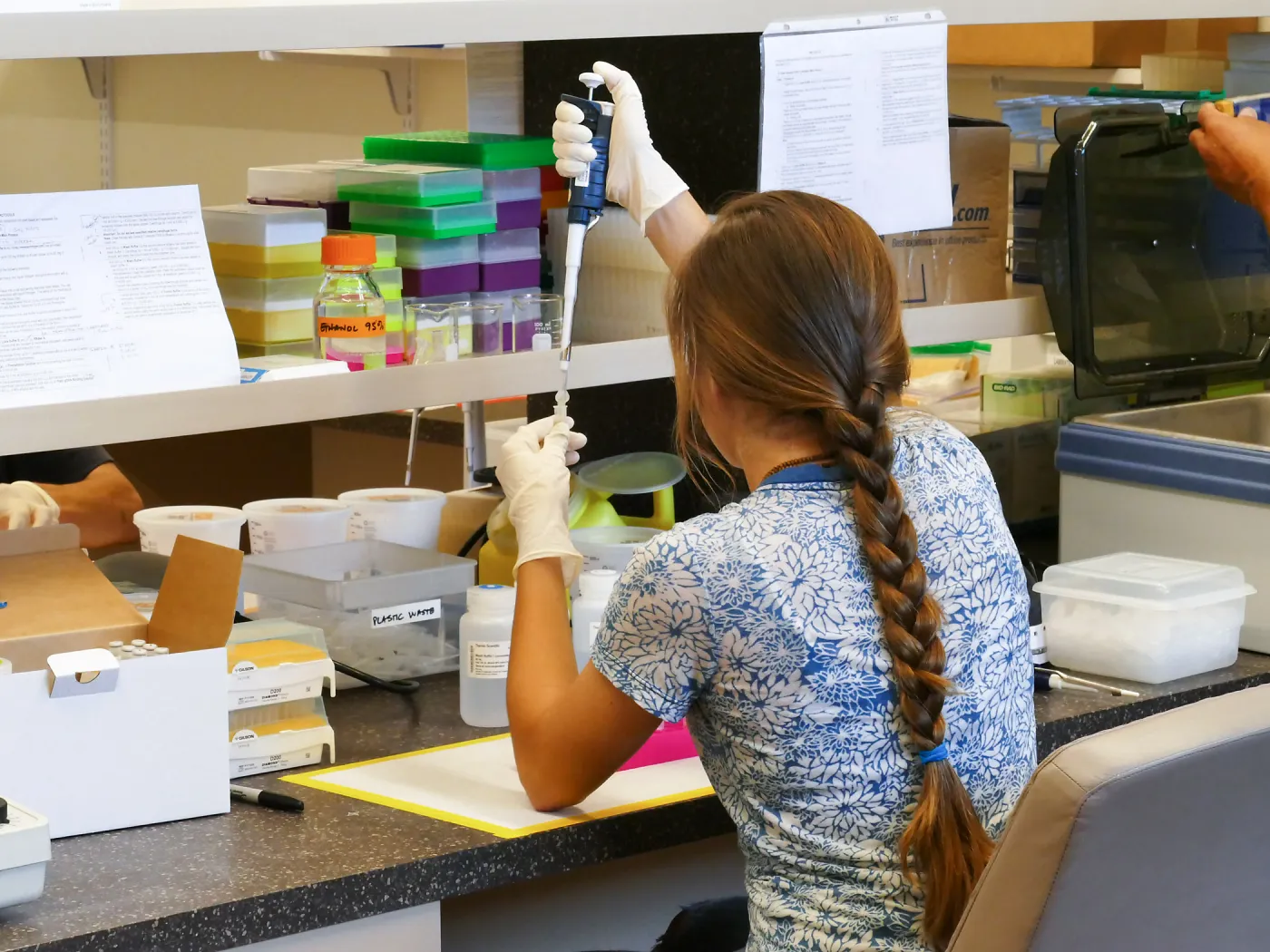 SBCC Intern working in the Pritzlaff Conservation Center Genetics Lab