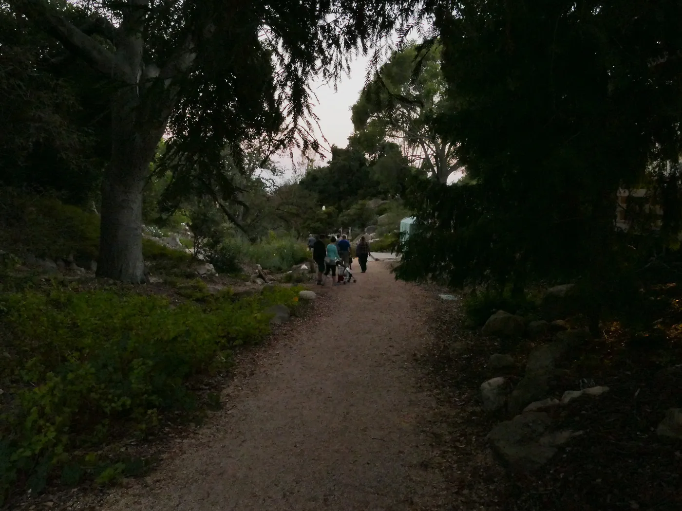 Member Appreciation Month, Full Moon Hike, hikers in Arroyo Section