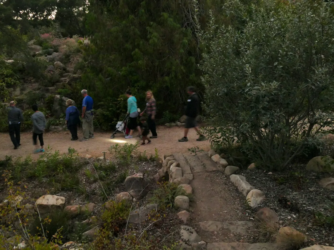 Member Appreciation Month, Full Moon Hike, hikers in Arroyo Section