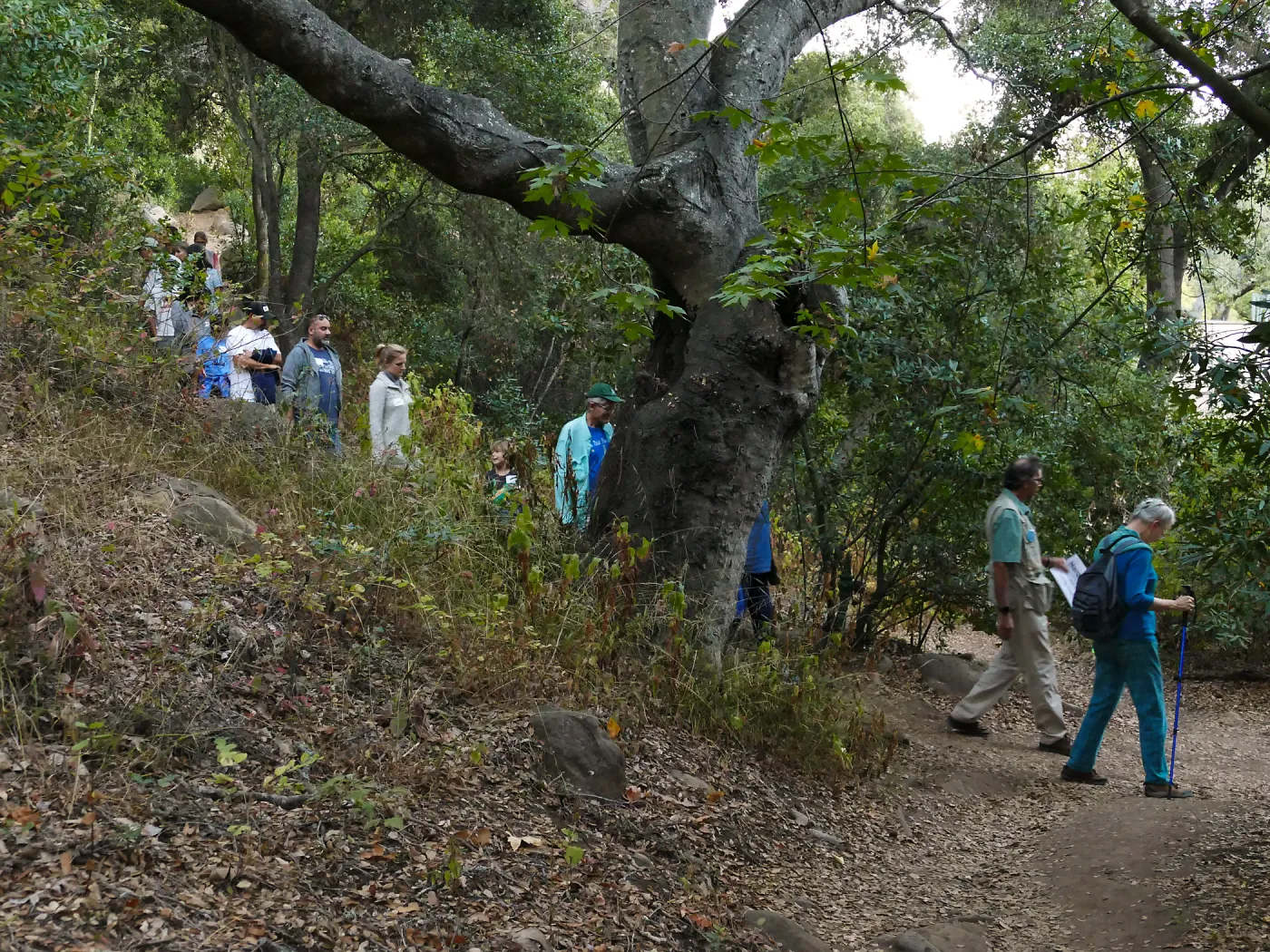 Member Appreciation Month, Full Moon Hike, hikers in Canyon