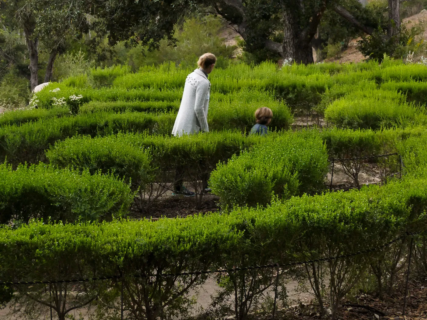 Member Appreciation Month, Full Moon Hike, Centennial Maze