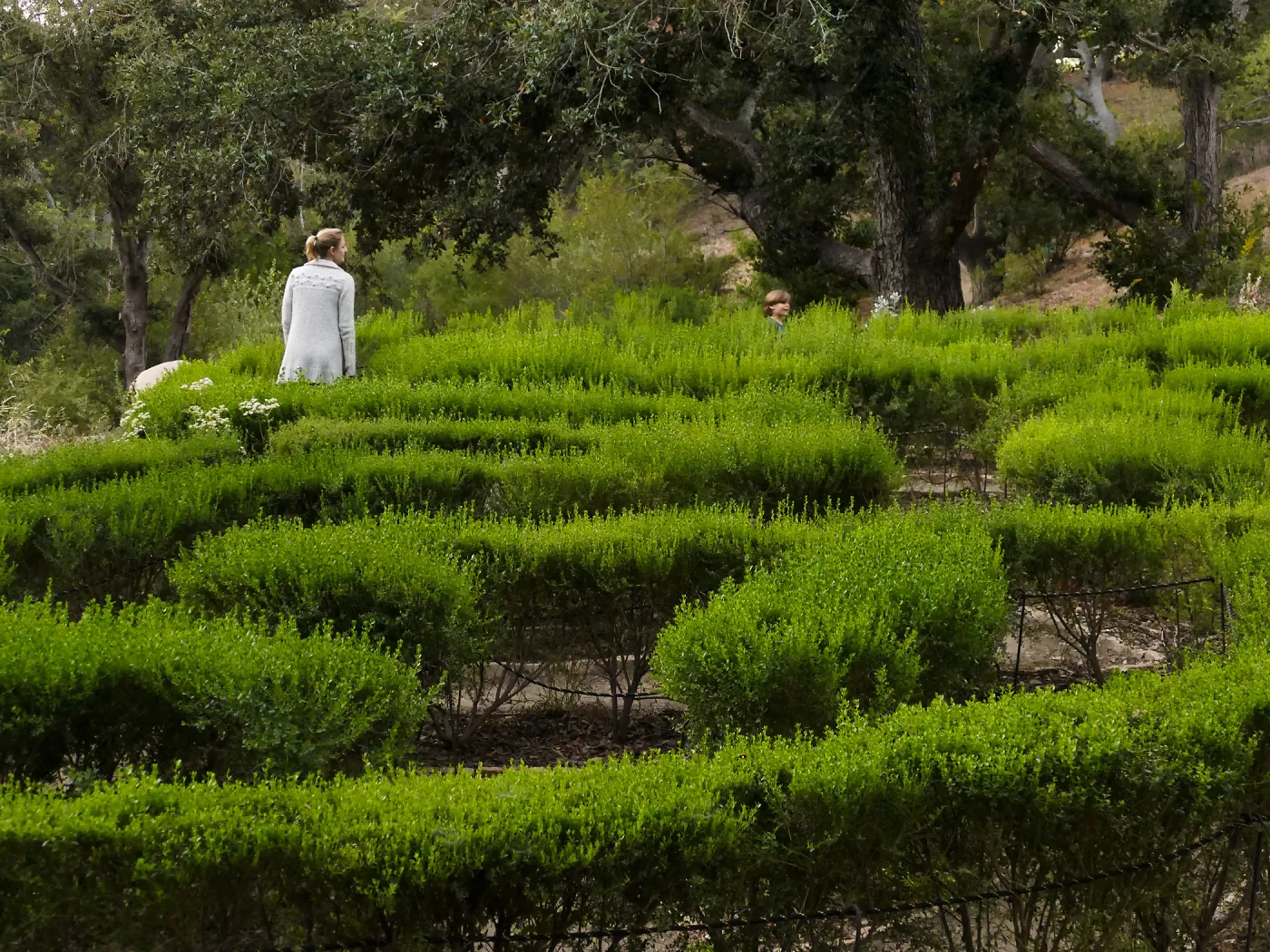 Member Appreciation Month, Full Moon Hike, Centennial Maze