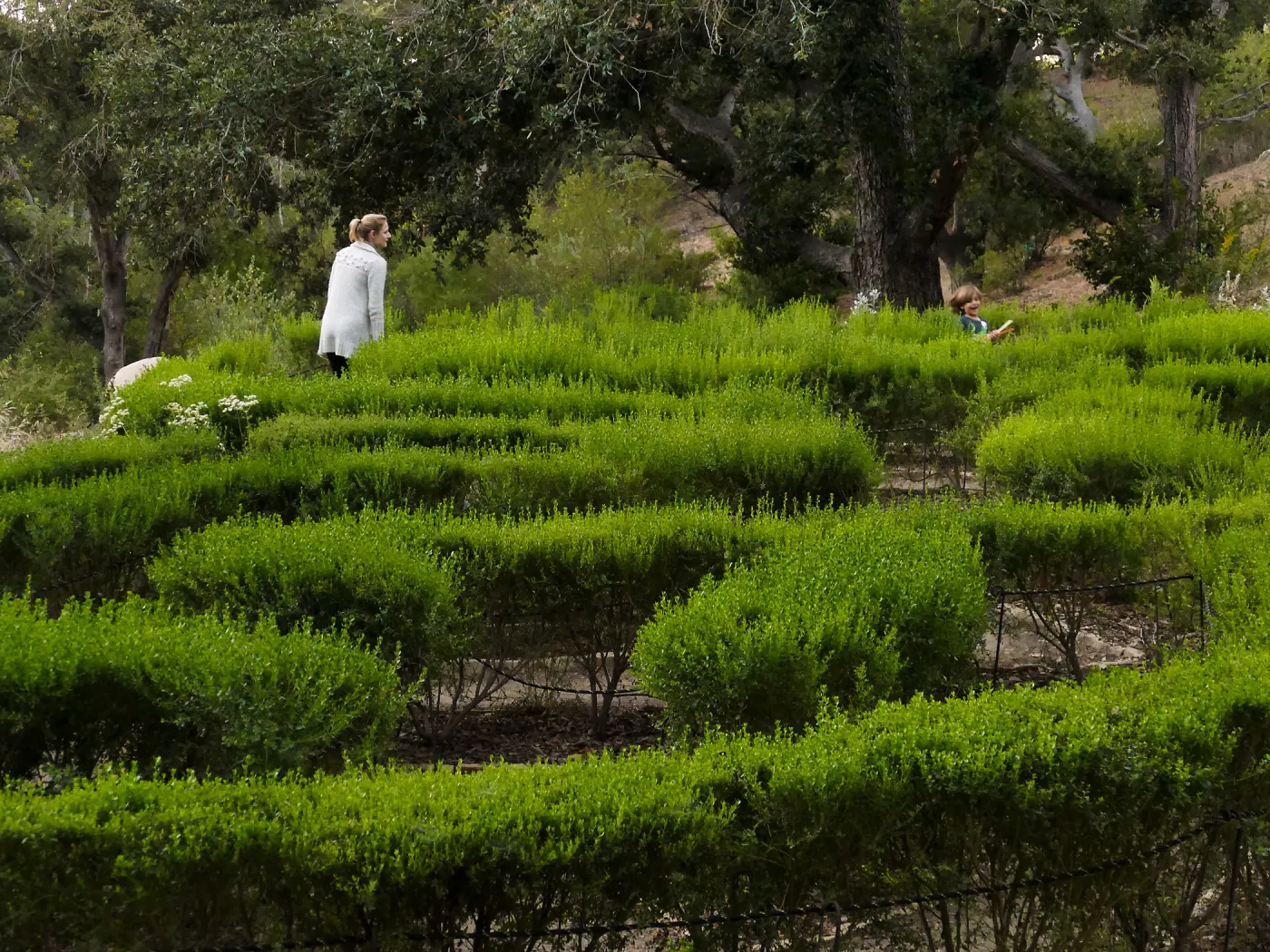 Member Appreciation Month, Full Moon Hike, Centennial Maze