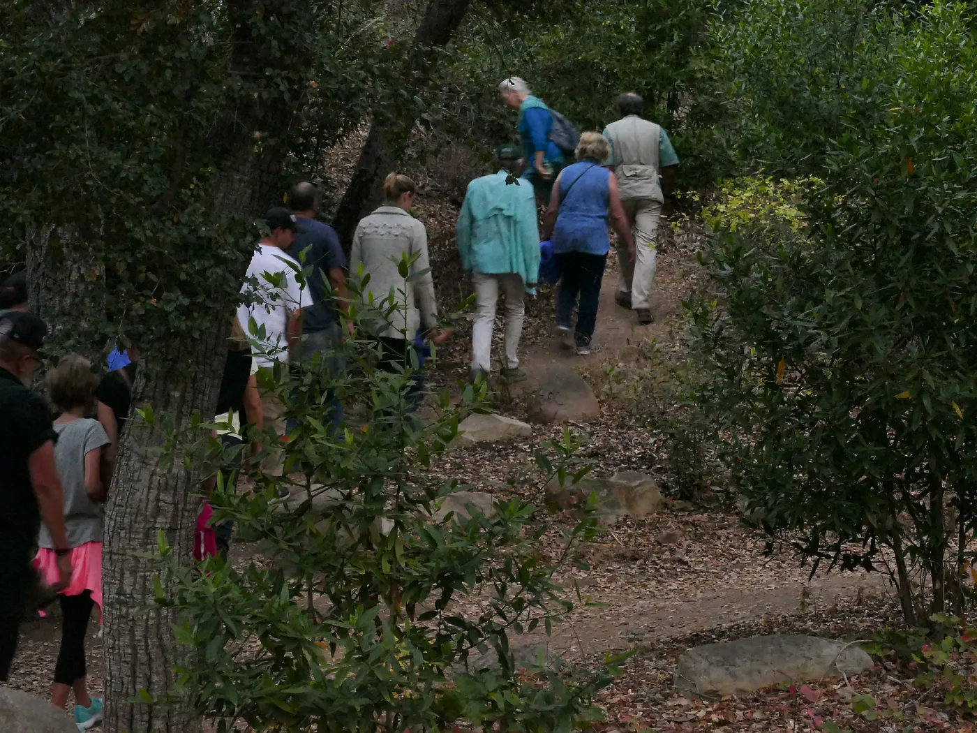 Member Appreciation Month, Full Moon Hike, hikers heading up Pritchett Trail