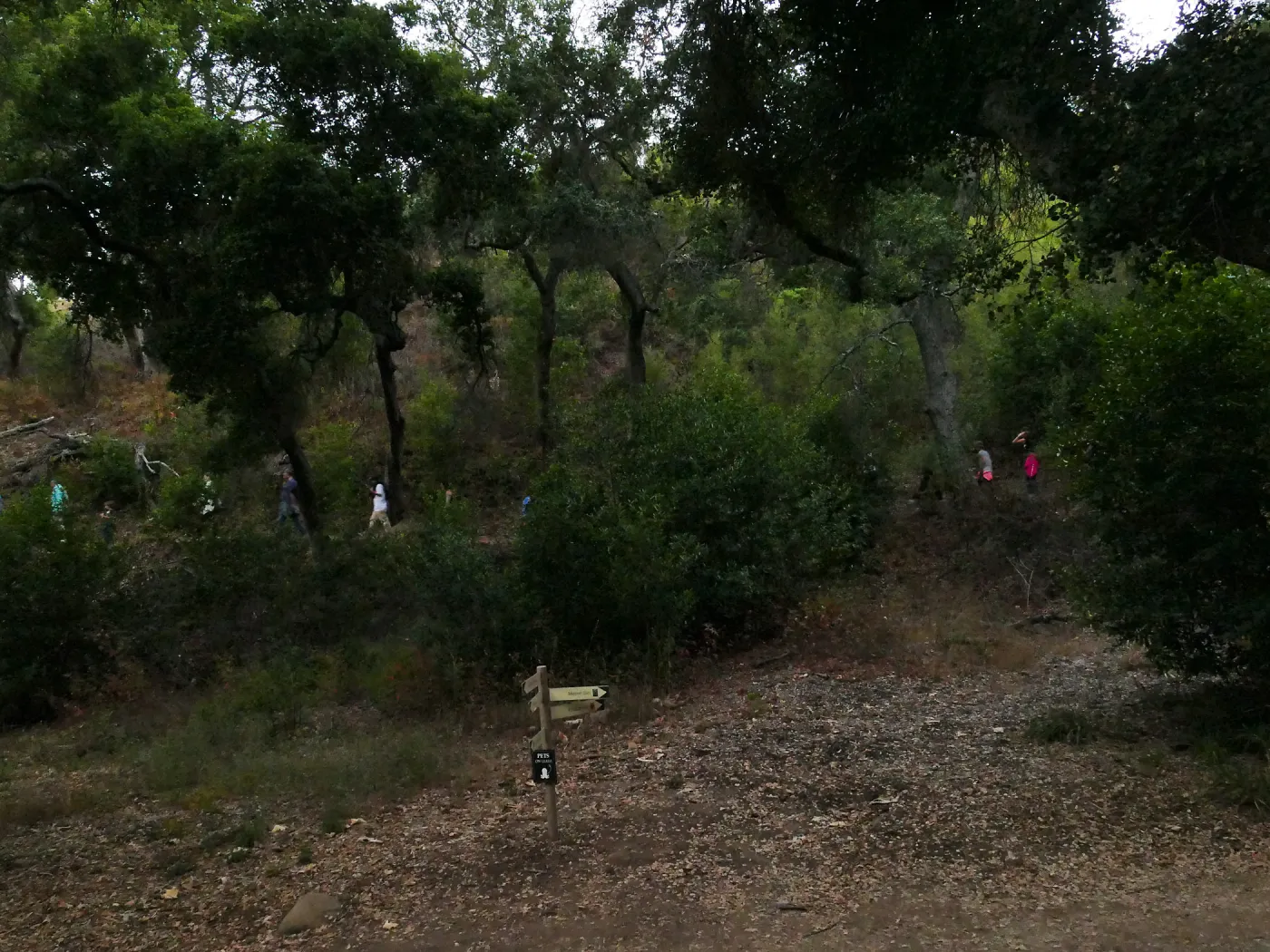 Member Appreciation Month, Full Moon Hike, hikers on Pritchett Trail