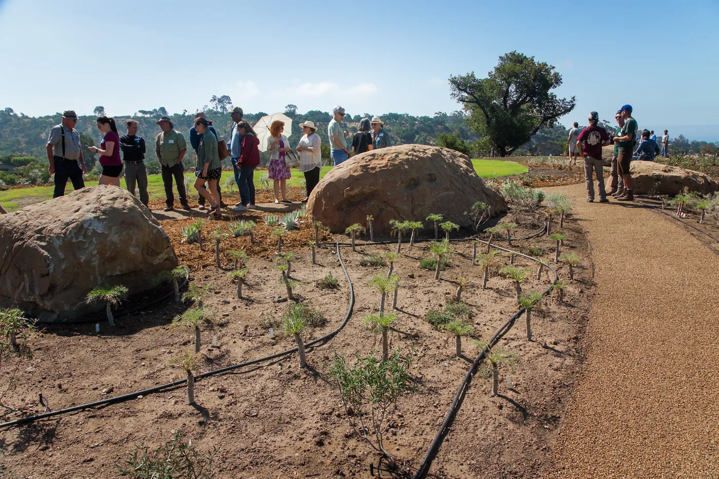 Pritzlaff Conservation Center Ribbon Cutting Celebration, guests exploring the newly planted Island View Garden