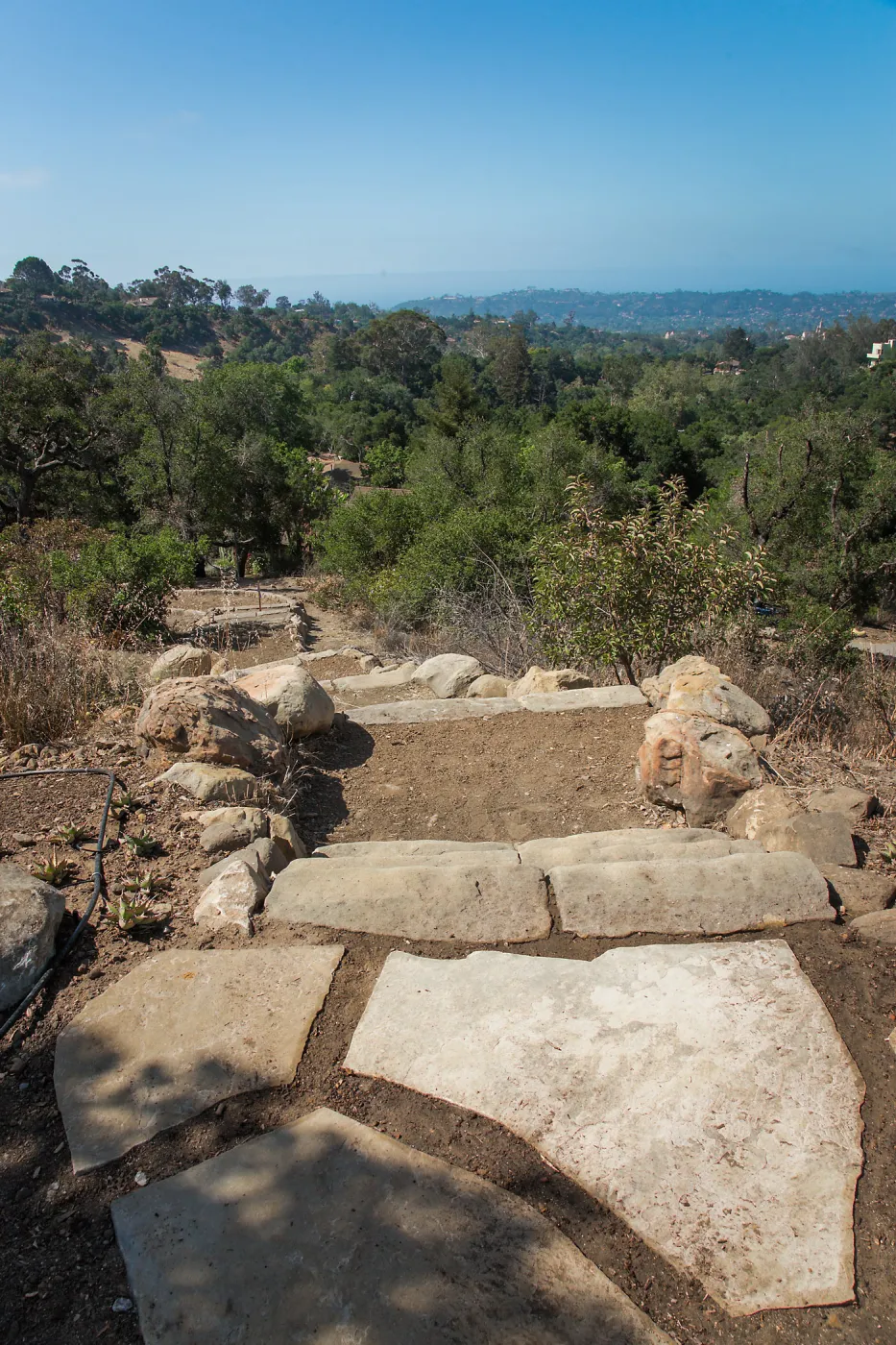 Pritzlaff Conservation Center Ribbon Cutting Celebration, guests exploring the newly planted Island View Garden
