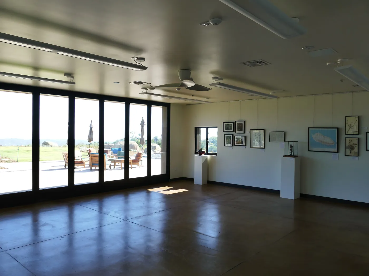 Pritzlaff Conservation Center Construction, Exhibit Room, looking southwest