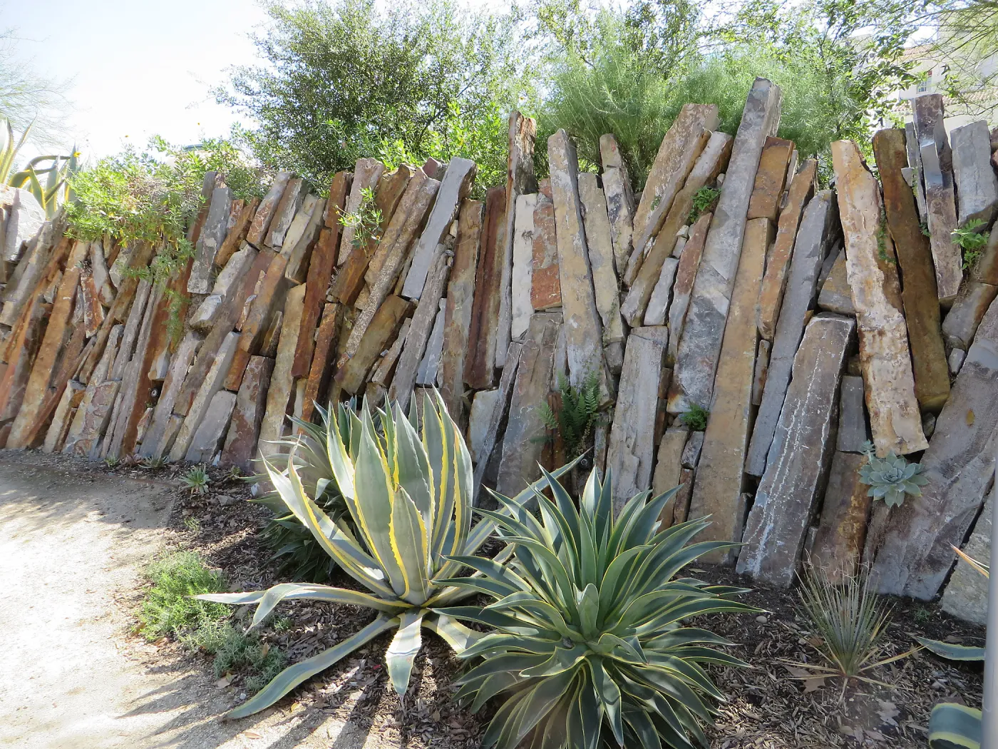 Natural History Museum of Los Angeles, Nature Gardens, Rock Walls