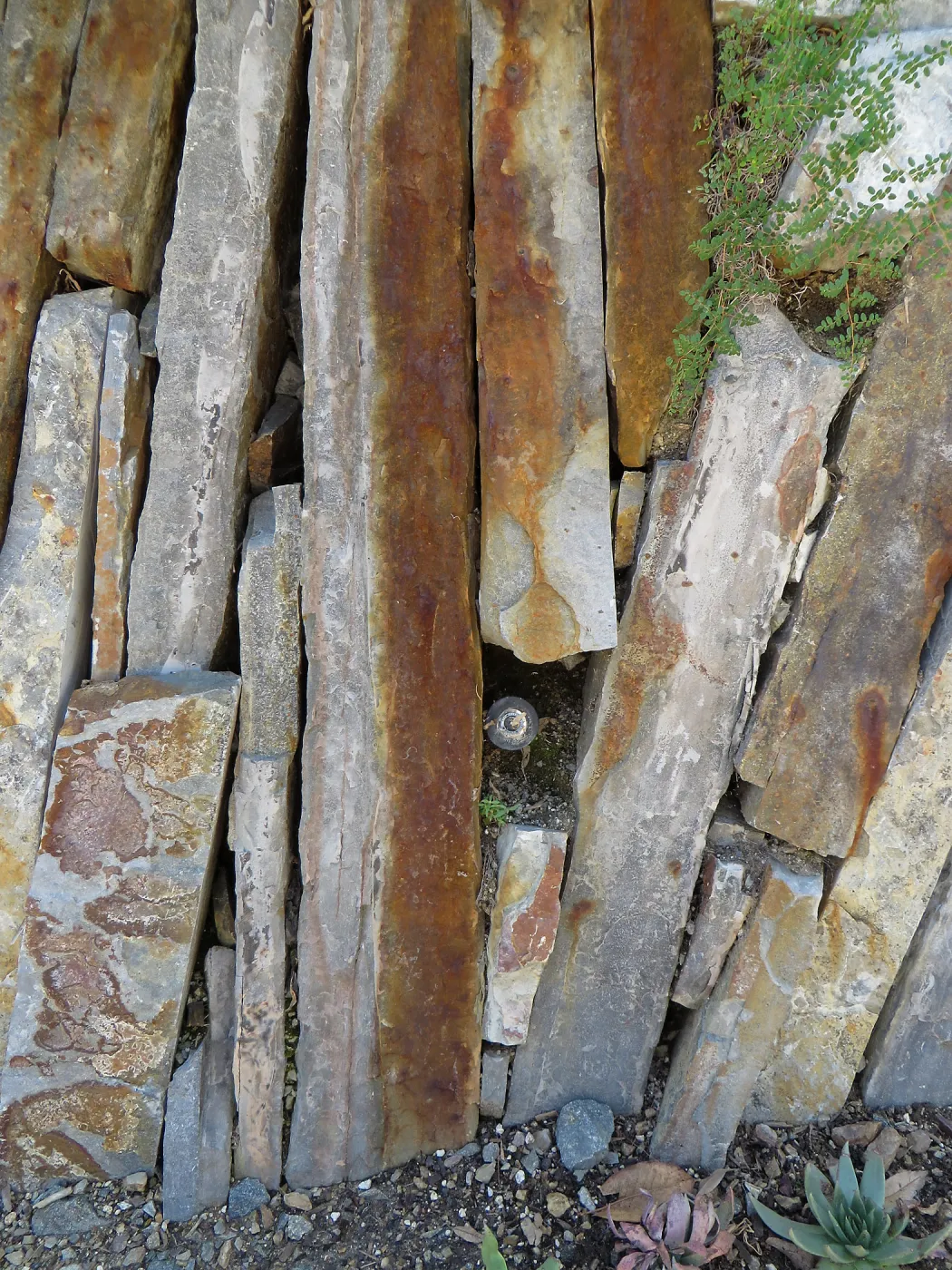 Natural History Museum of Los Angeles, Nature Gardens, Rock Walls