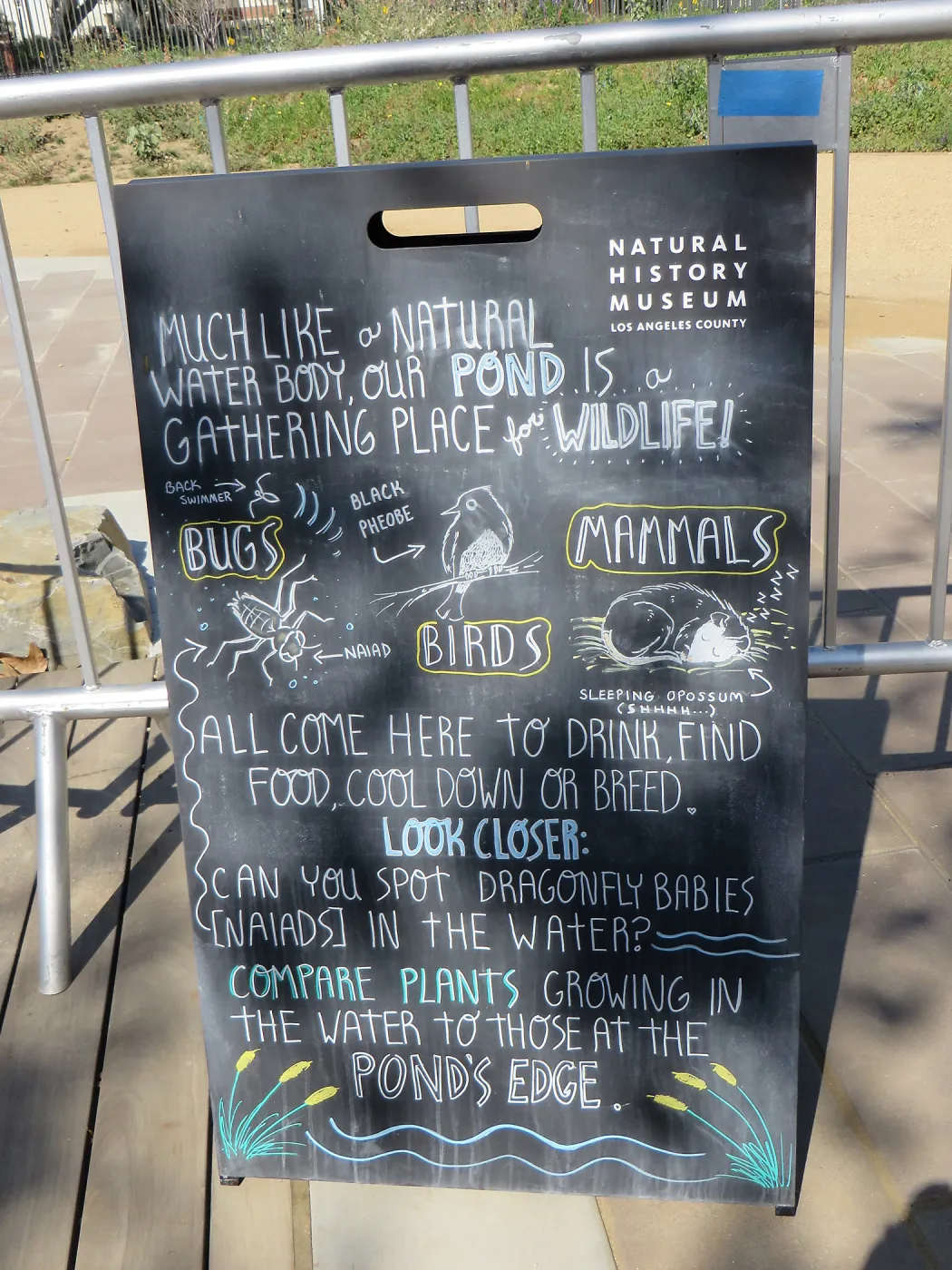 Natural History Museum of Los Angeles, Nature Gardens, Pond Signage