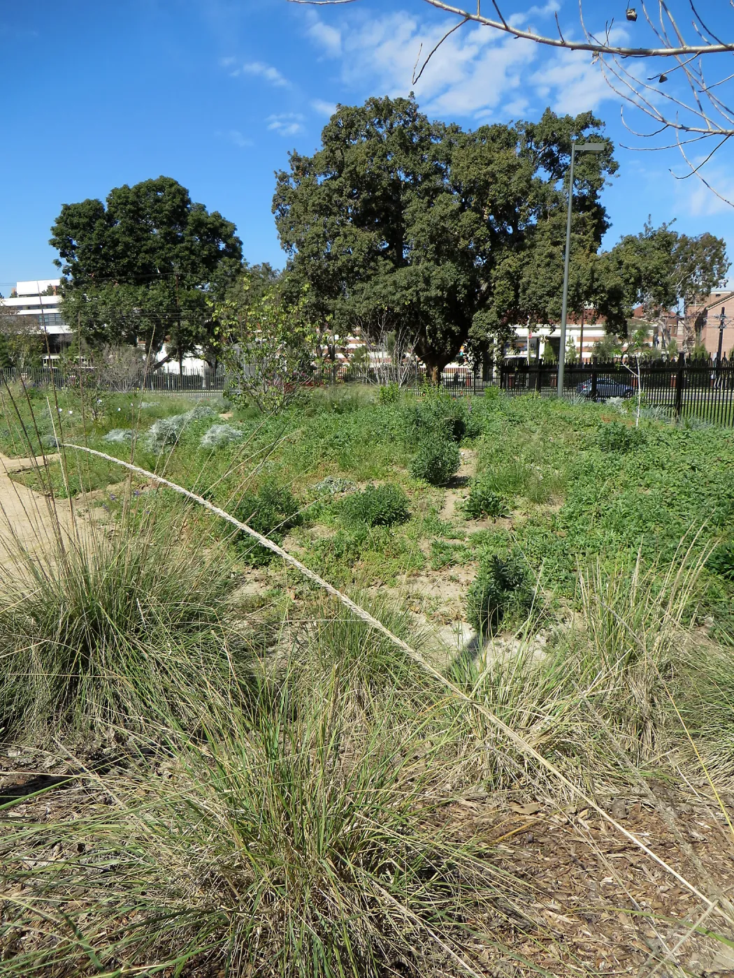 Natural History Museum of Los Angeles, Nature Gardens