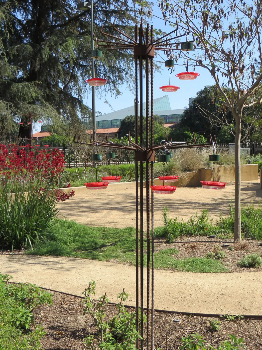 Natural History Museum of Los Angeles, Nature Gardens, Hummingbird Feeder