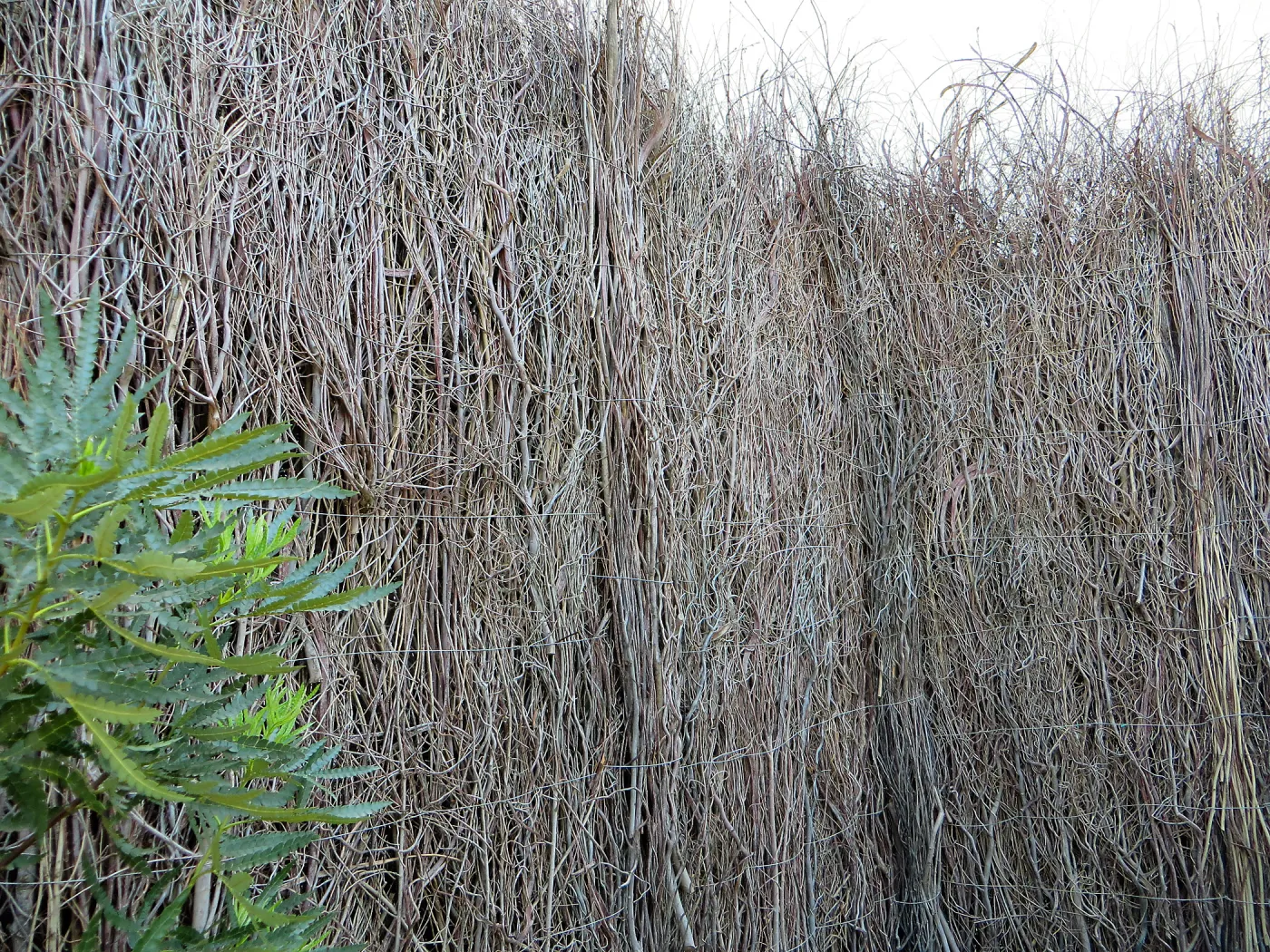 Natural History Museum of Los Angeles, Nature Gardens, Compost Wall