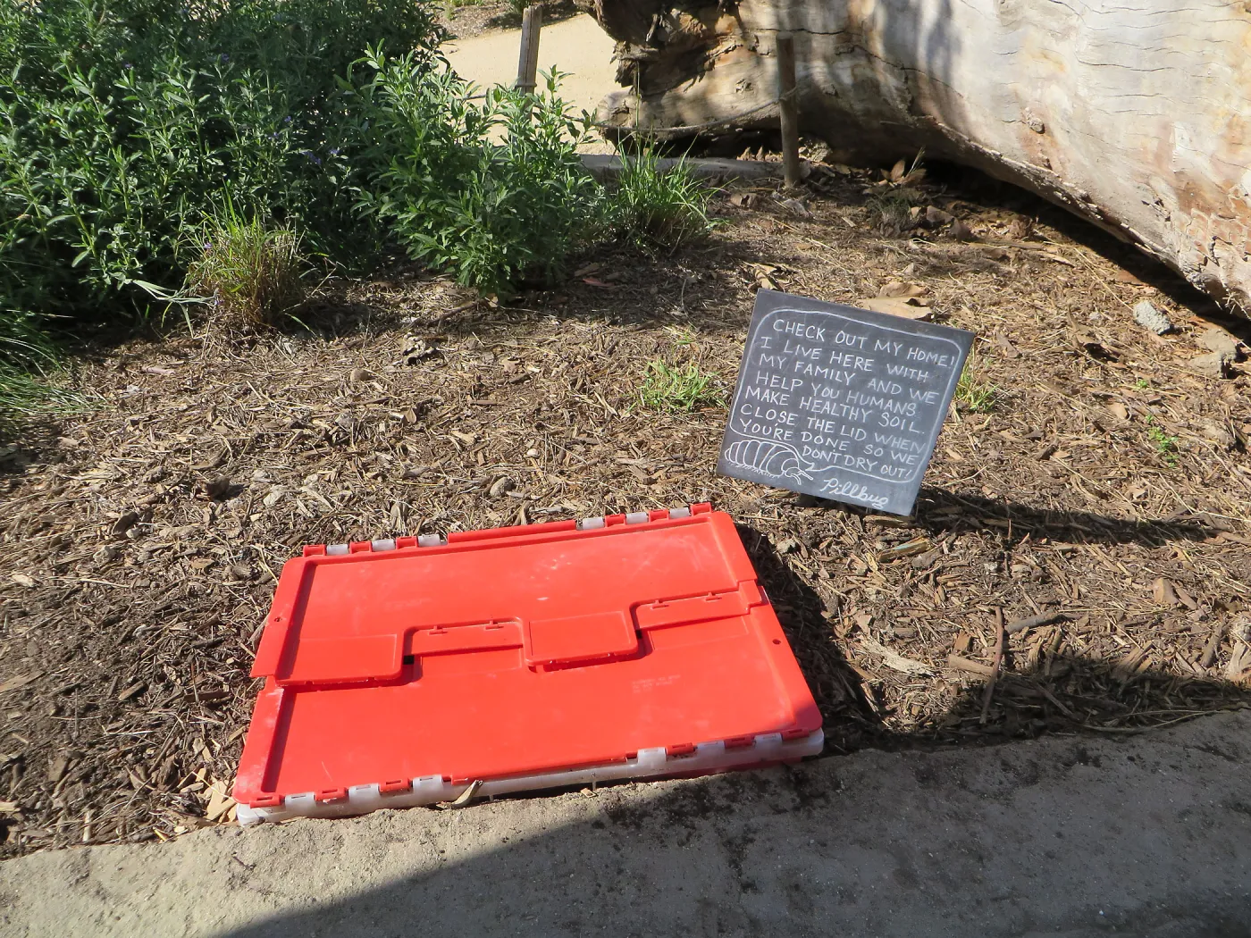 Natural History Museum of Los Angeles, Nature Gardens, Pillbug Composting