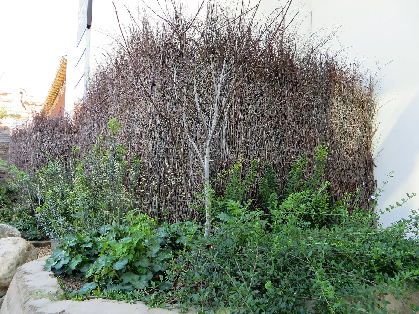 Natural History Museum of Los Angeles, Nature Gardens, Compost Wall