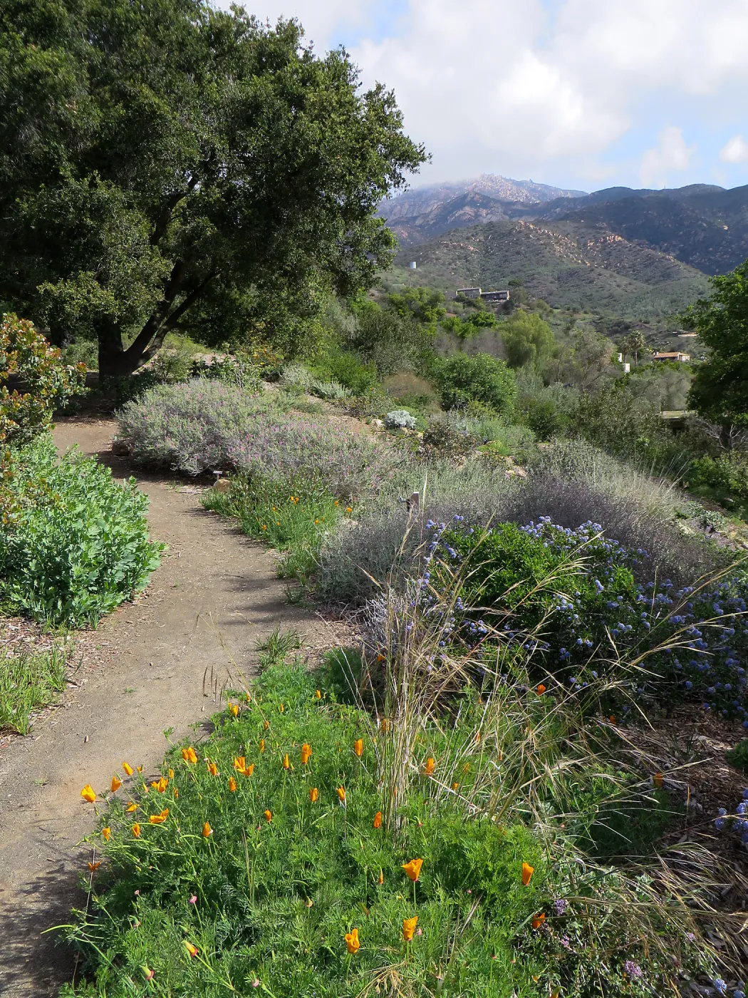 SBBG, Porter Trail