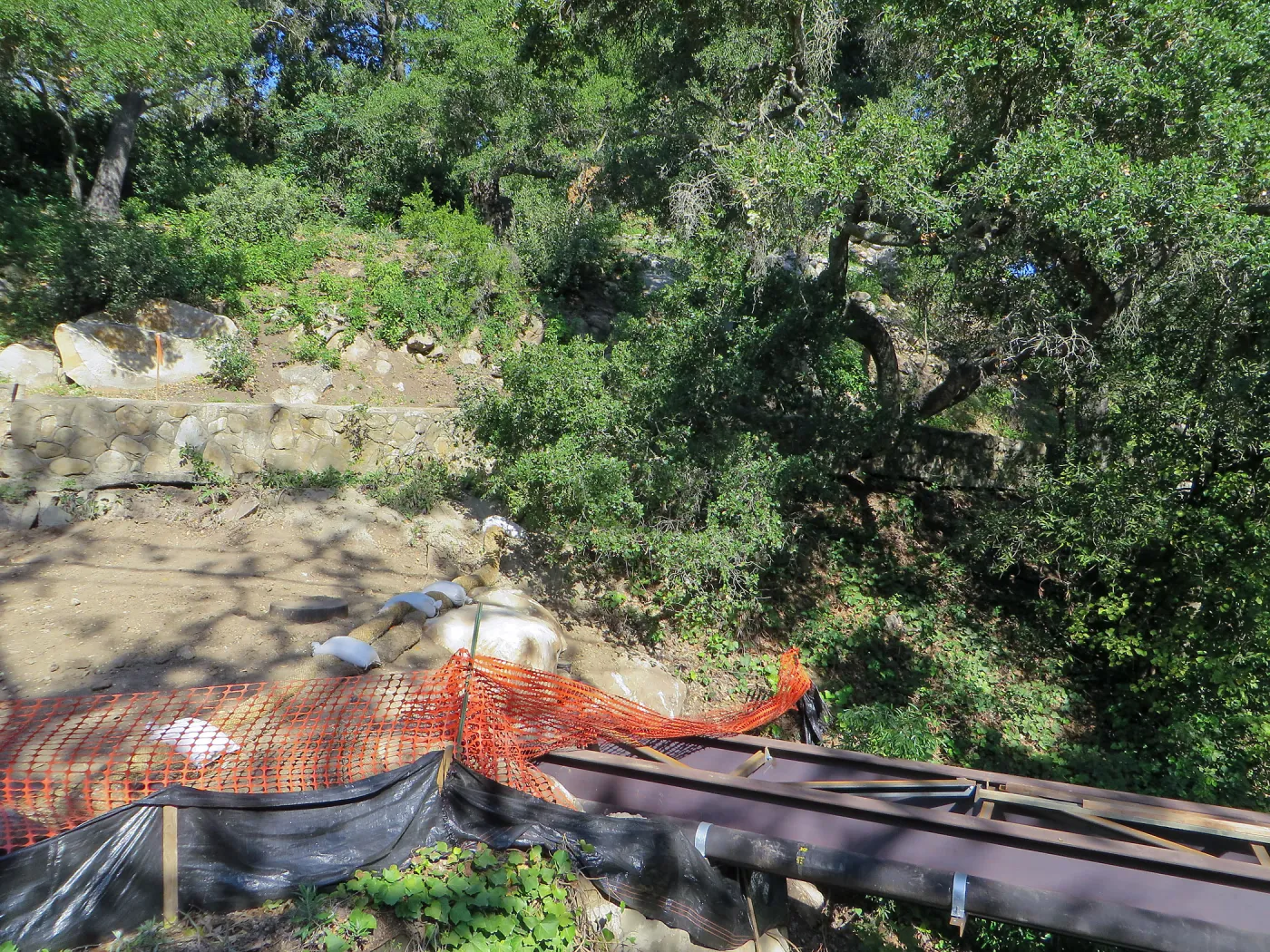 SBBG Sewer work, Mission Cyn Rd