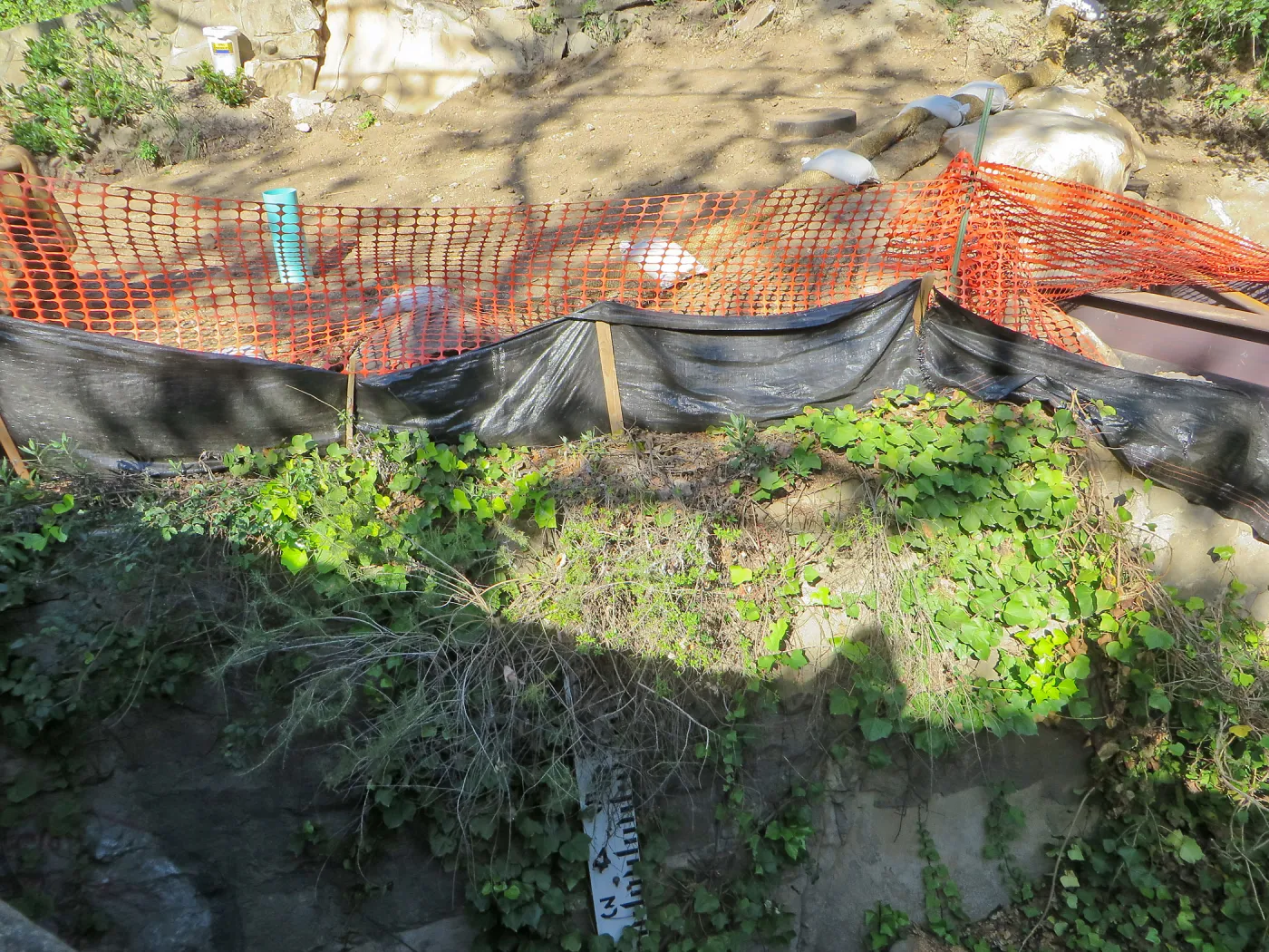 SBBG Sewer work, Mission Cyn Rd