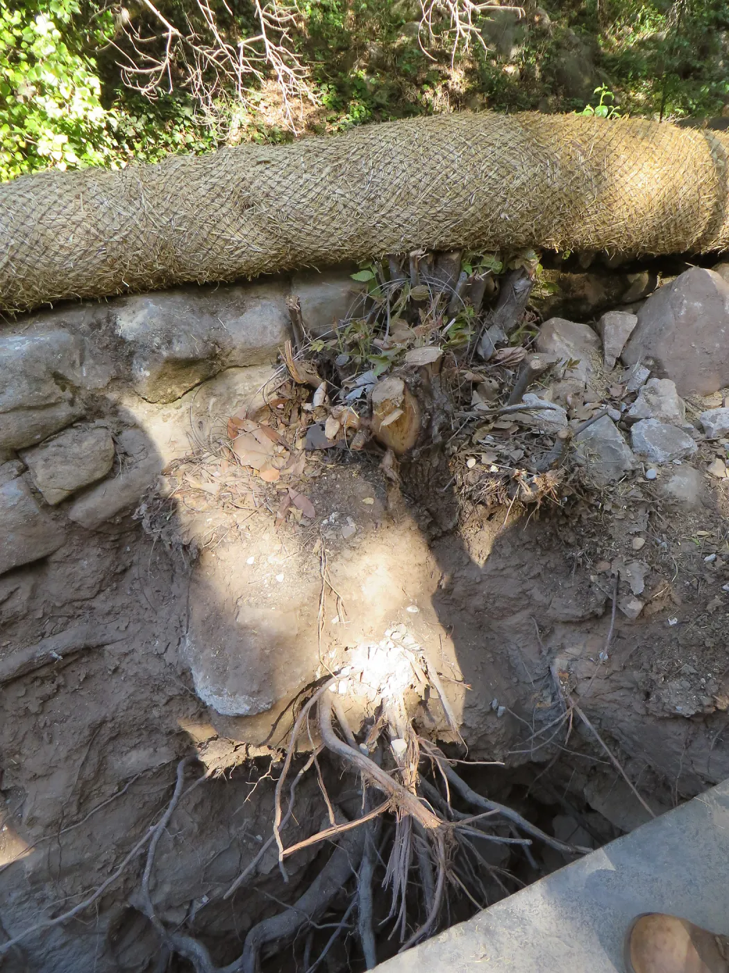 SBBG Sewer work, Mission Cyn Rd