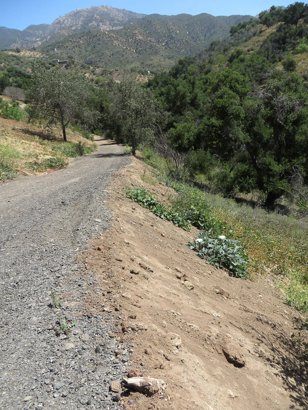 Recycled Asphalt on East slope cartpath
