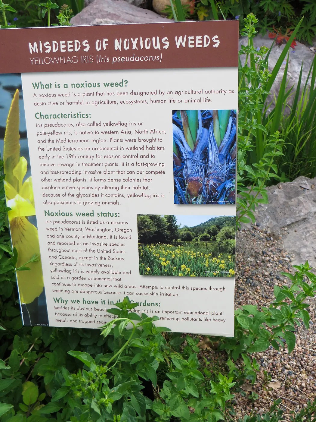 Denver Botanic Garden, APGA meeting, Misdeeds of Noxious Weeds sign