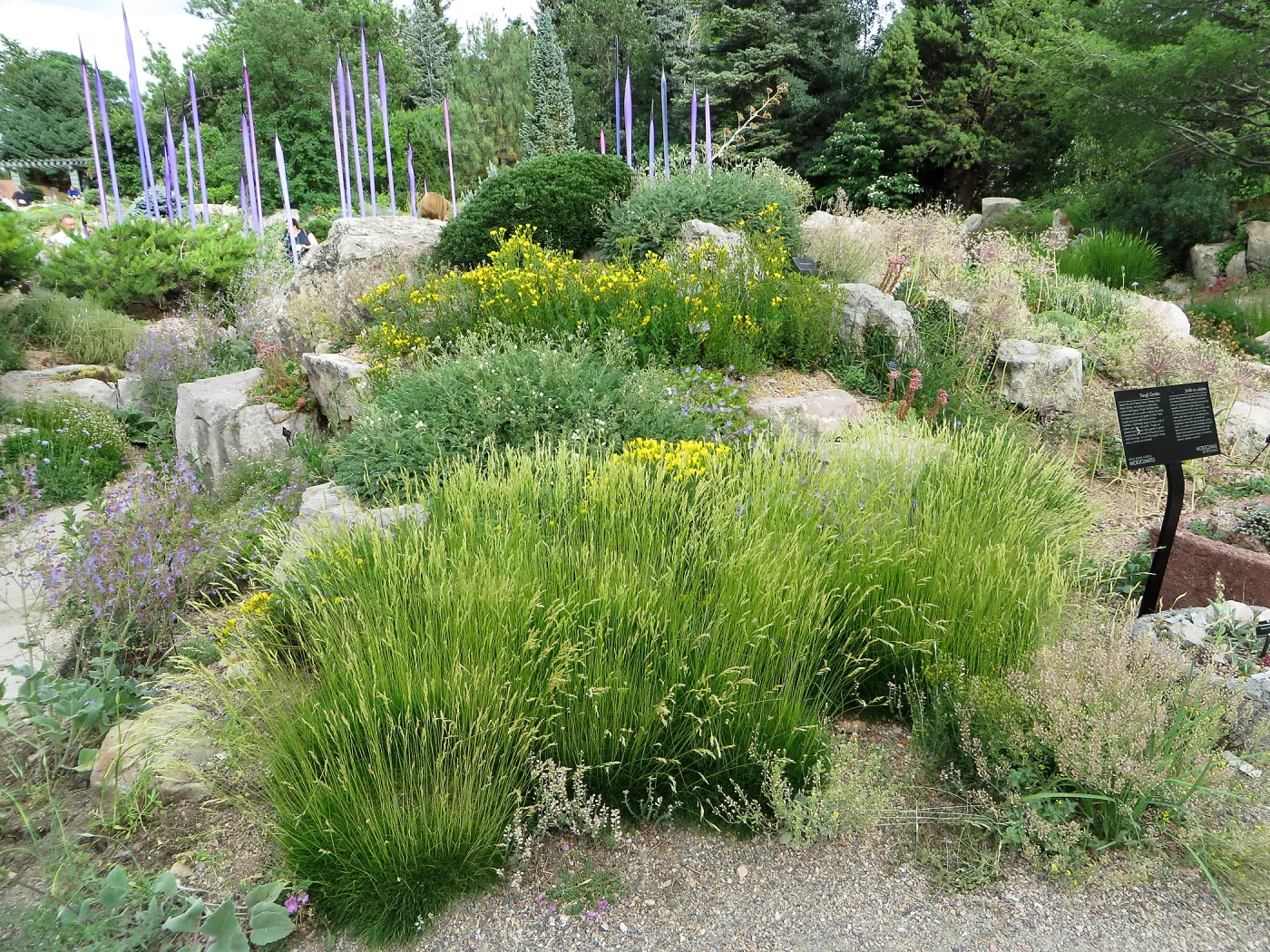 Denver Botanic Garden, APGA meeting, Trough Garden
