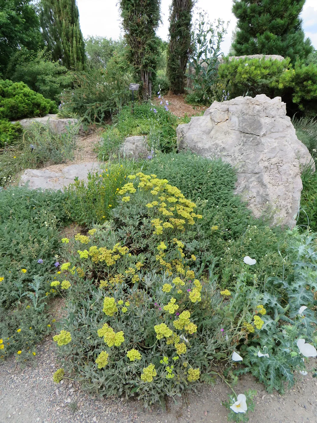 Denver Botanic Garden, APGA meeting