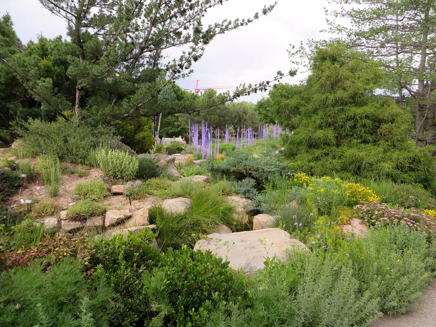 Denver Botanic Garden, APGA meeting. Dale Chihuly sculpture