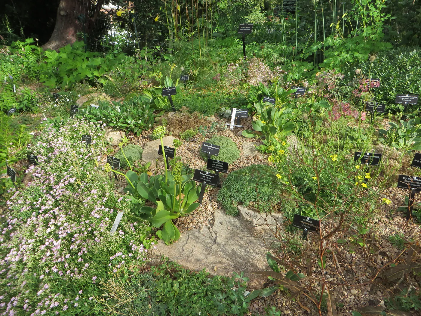 Denver Botanic Garden, APGA meeting