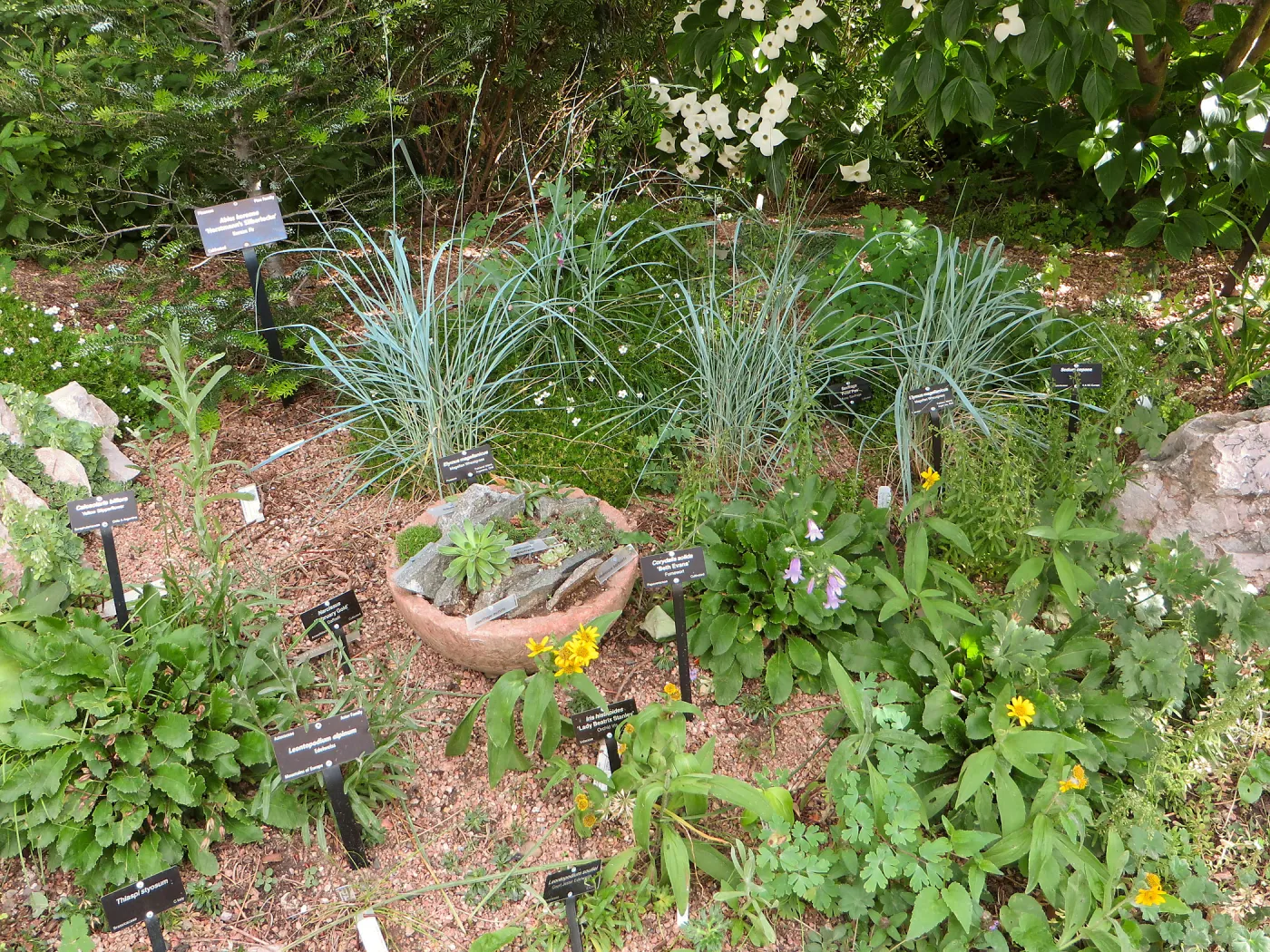 Denver Botanic Garden, APGA meeting