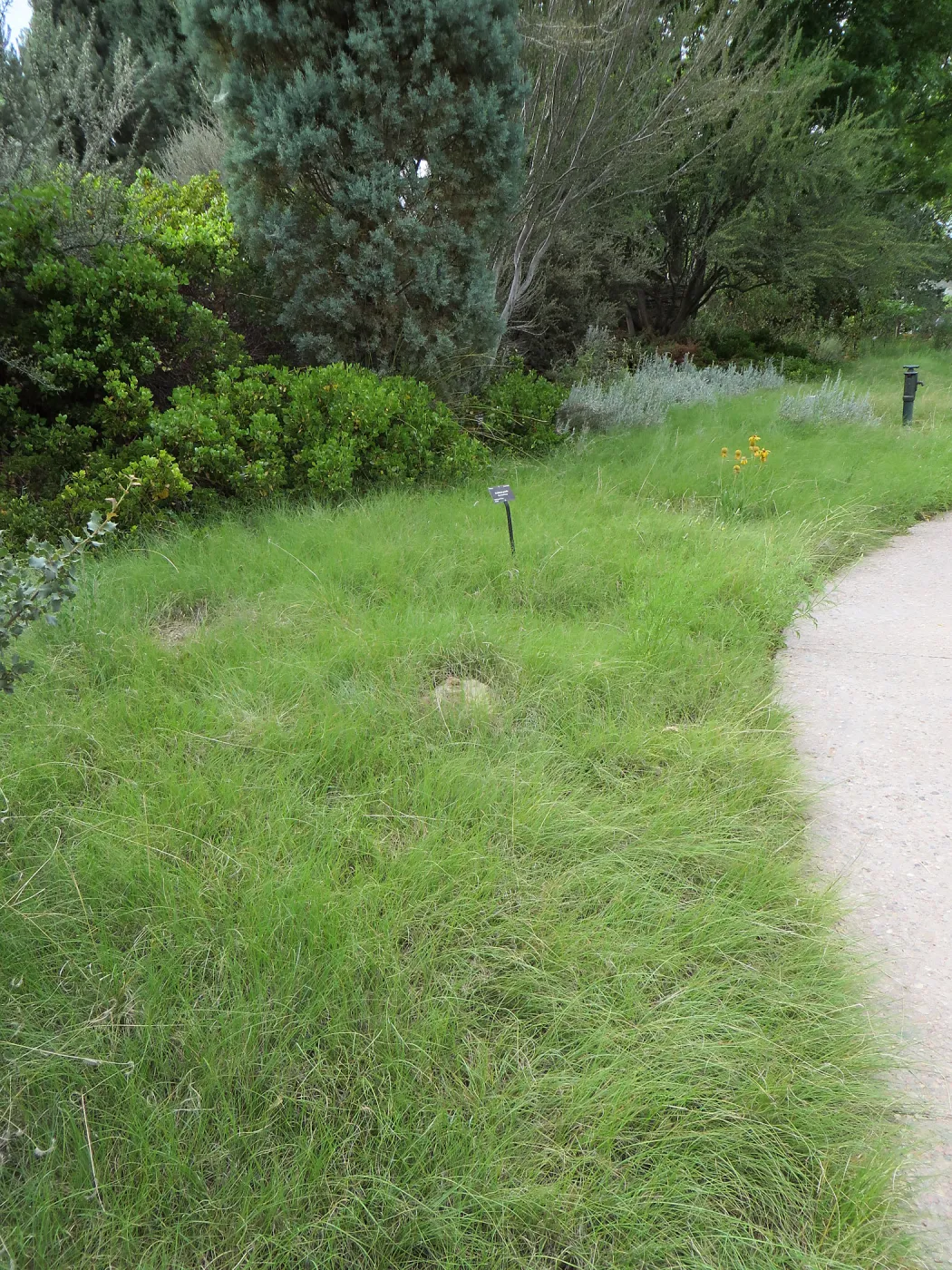 Denver Botanic Garden, APGA meeting