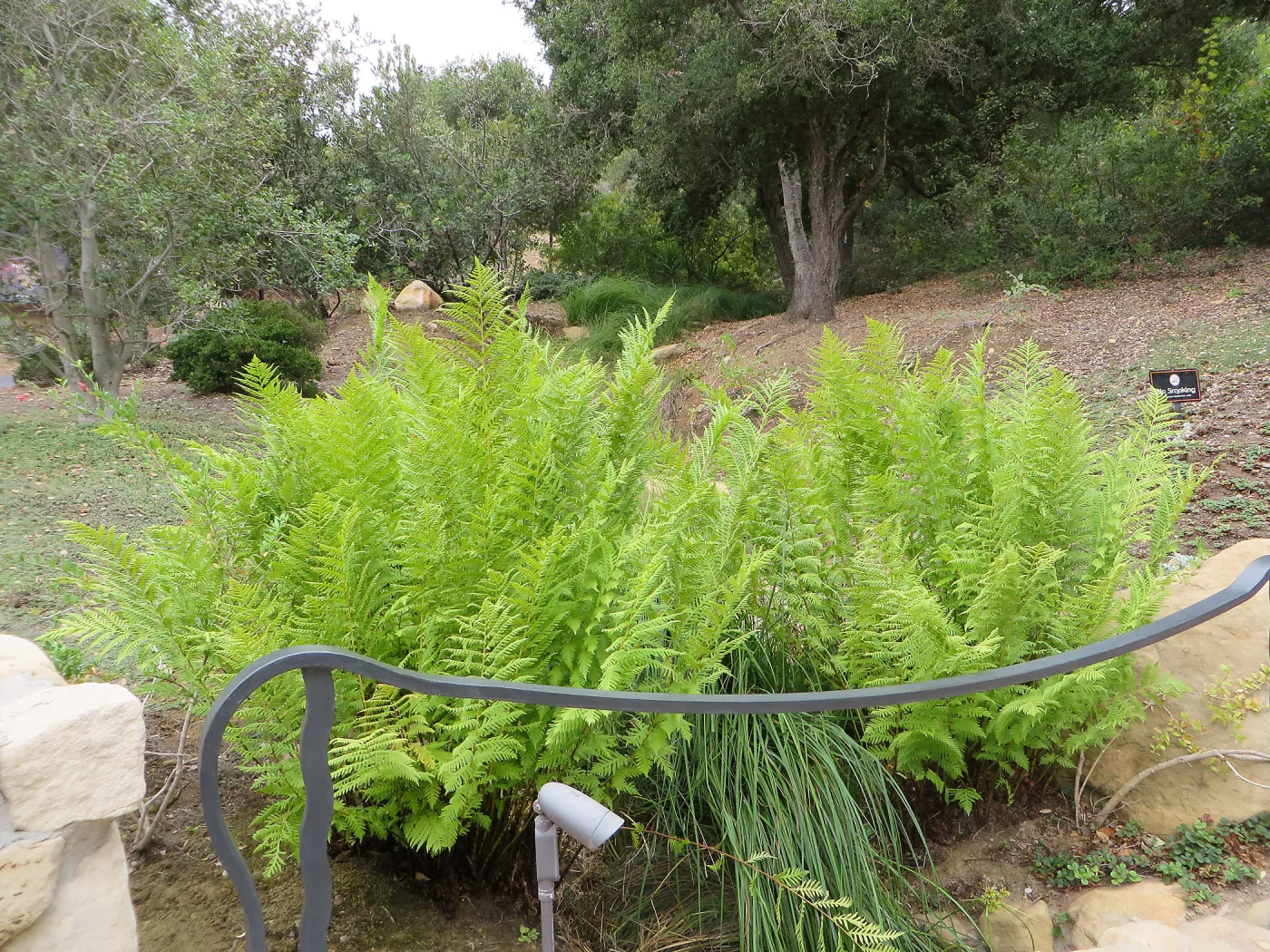 Santa Barbara County Bowl garden, designed by Susan van Atta
