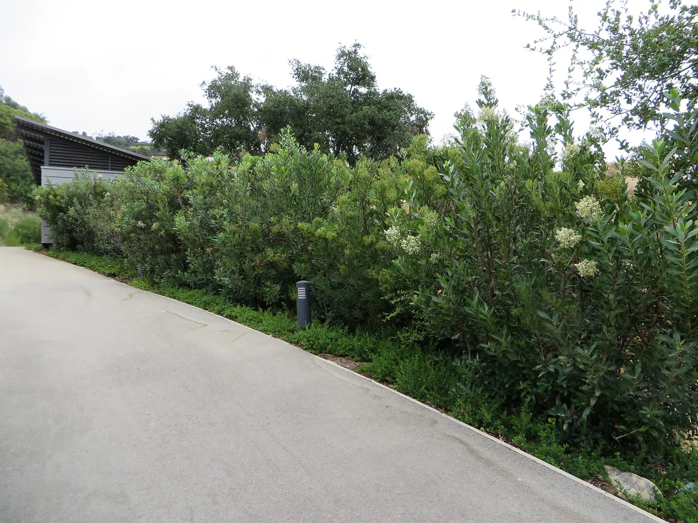 Santa Barbara County Bowl garden, designed by Susan van Atta