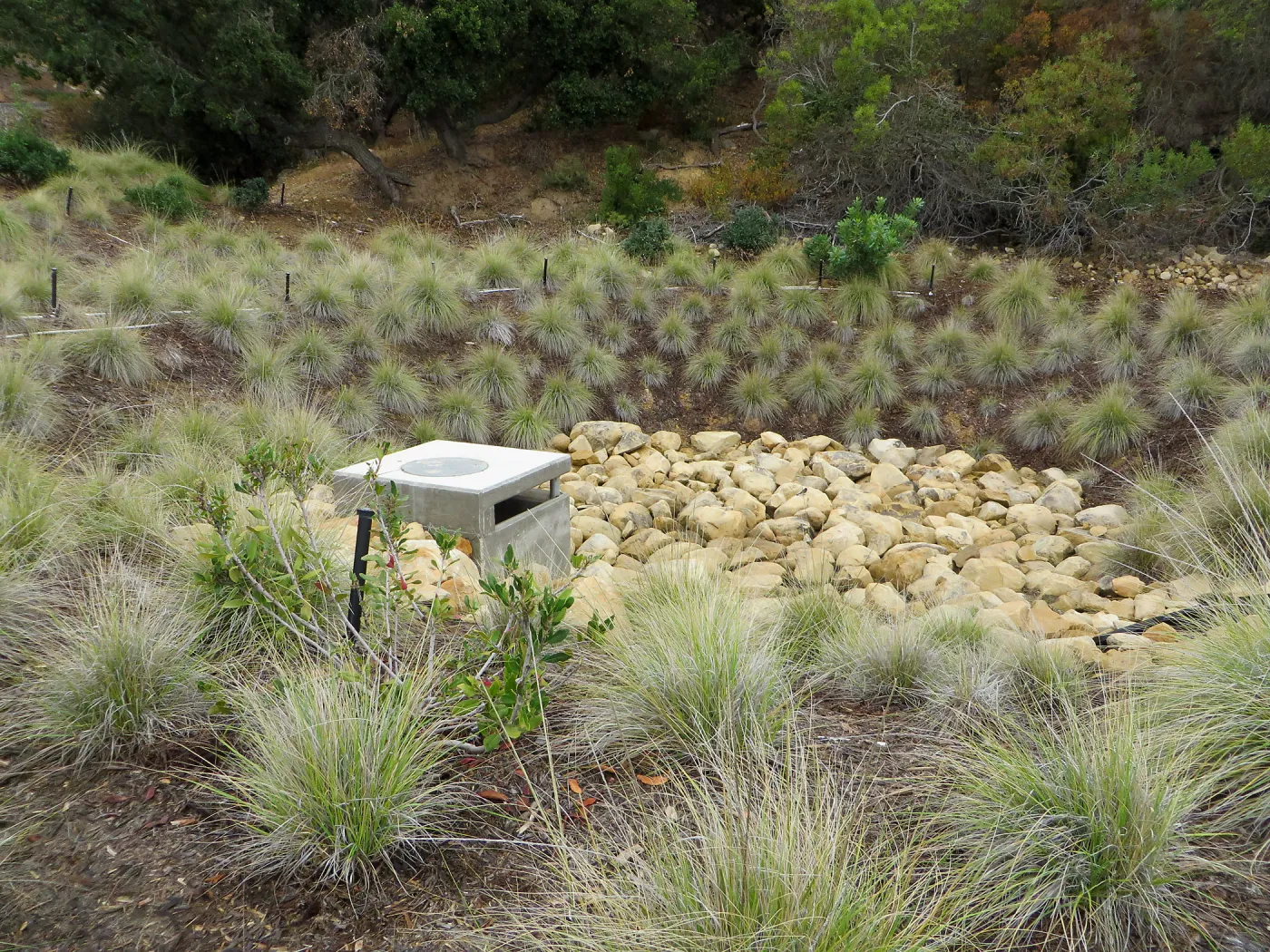 Santa Barbara County Bowl garden, designed by Susan van Atta