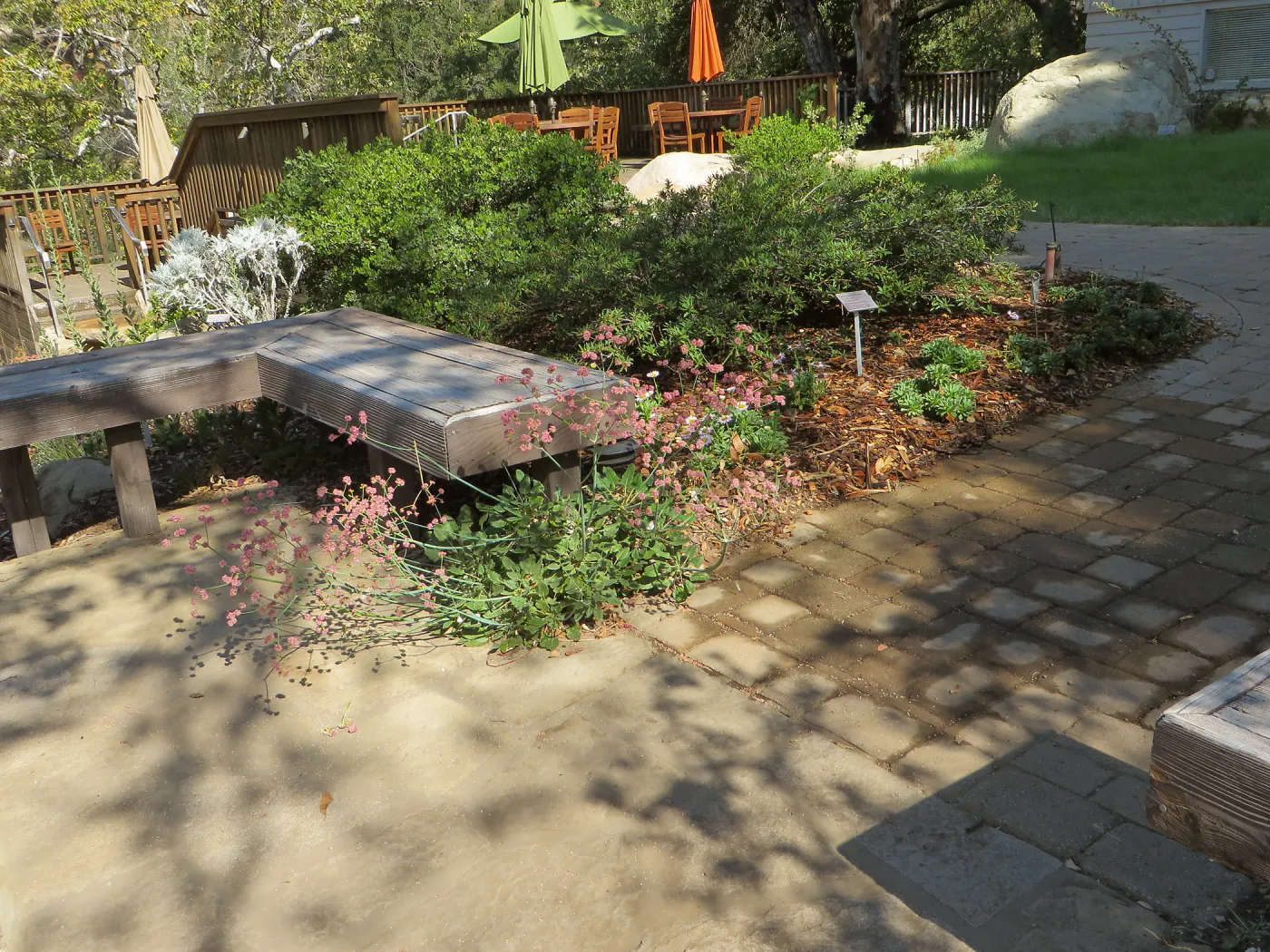 SBBG Home Demo Garden