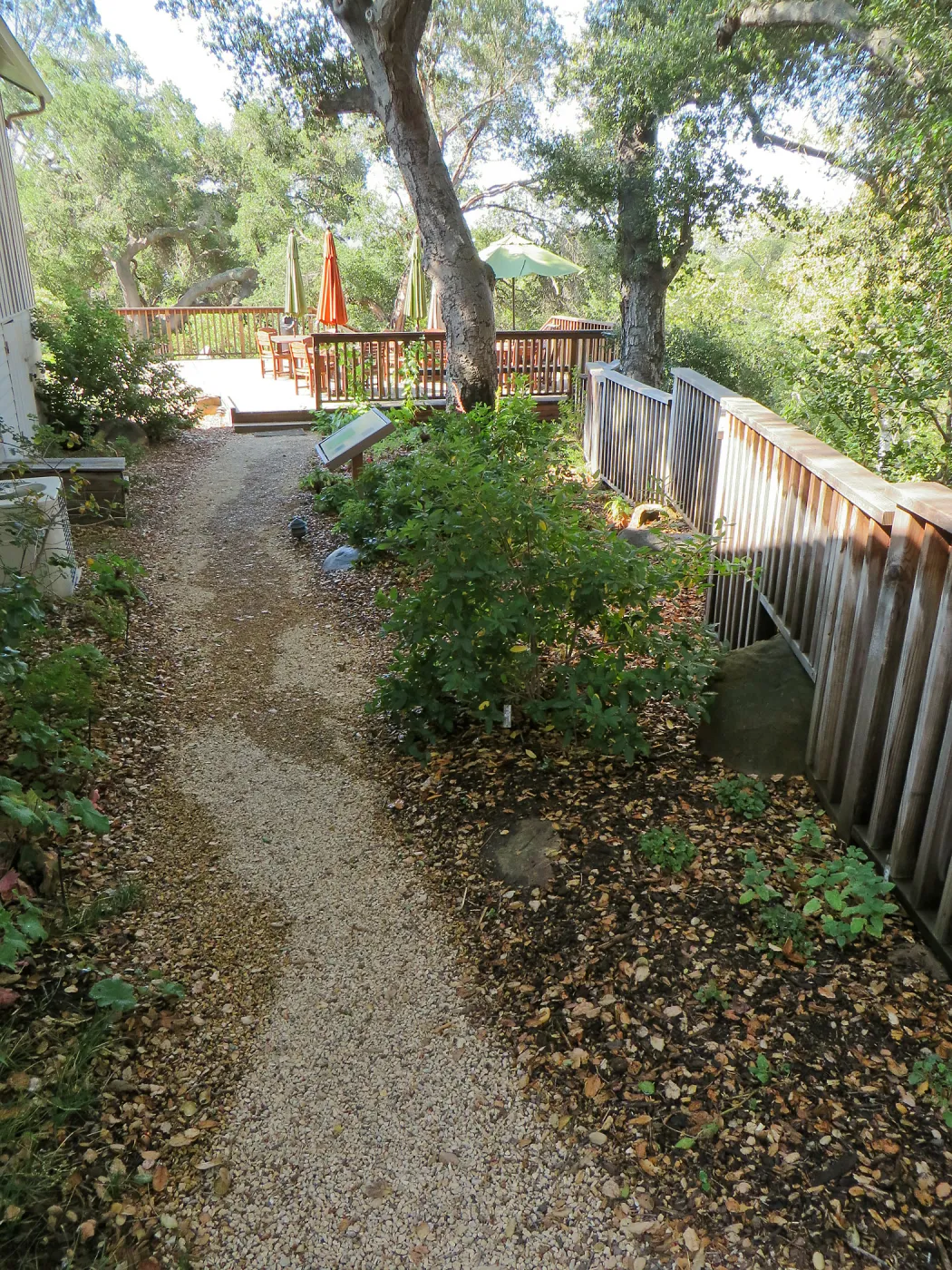 SBBG Home Demo Garden