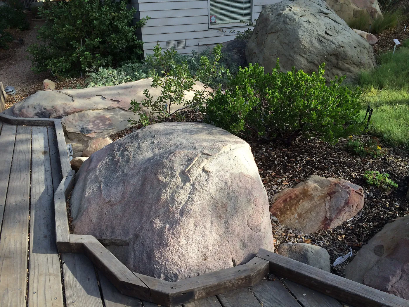 Removal of fire damaged oak behind Home Demo Garden deck